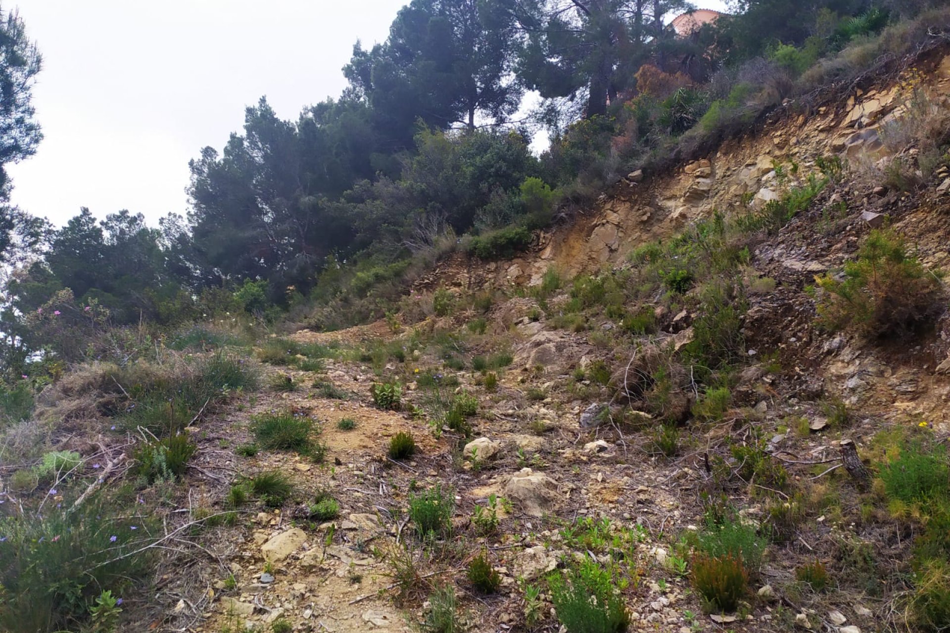 Resale - Plot - Calpe