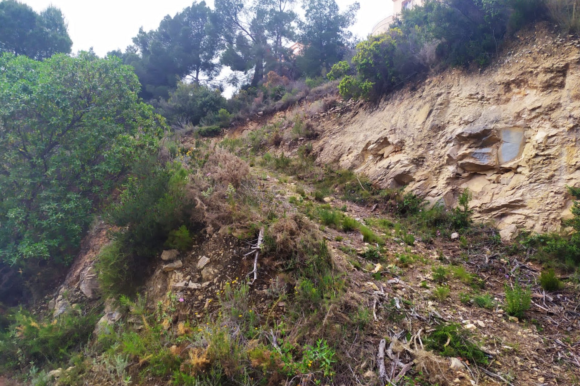 Resale - Plot - Calpe