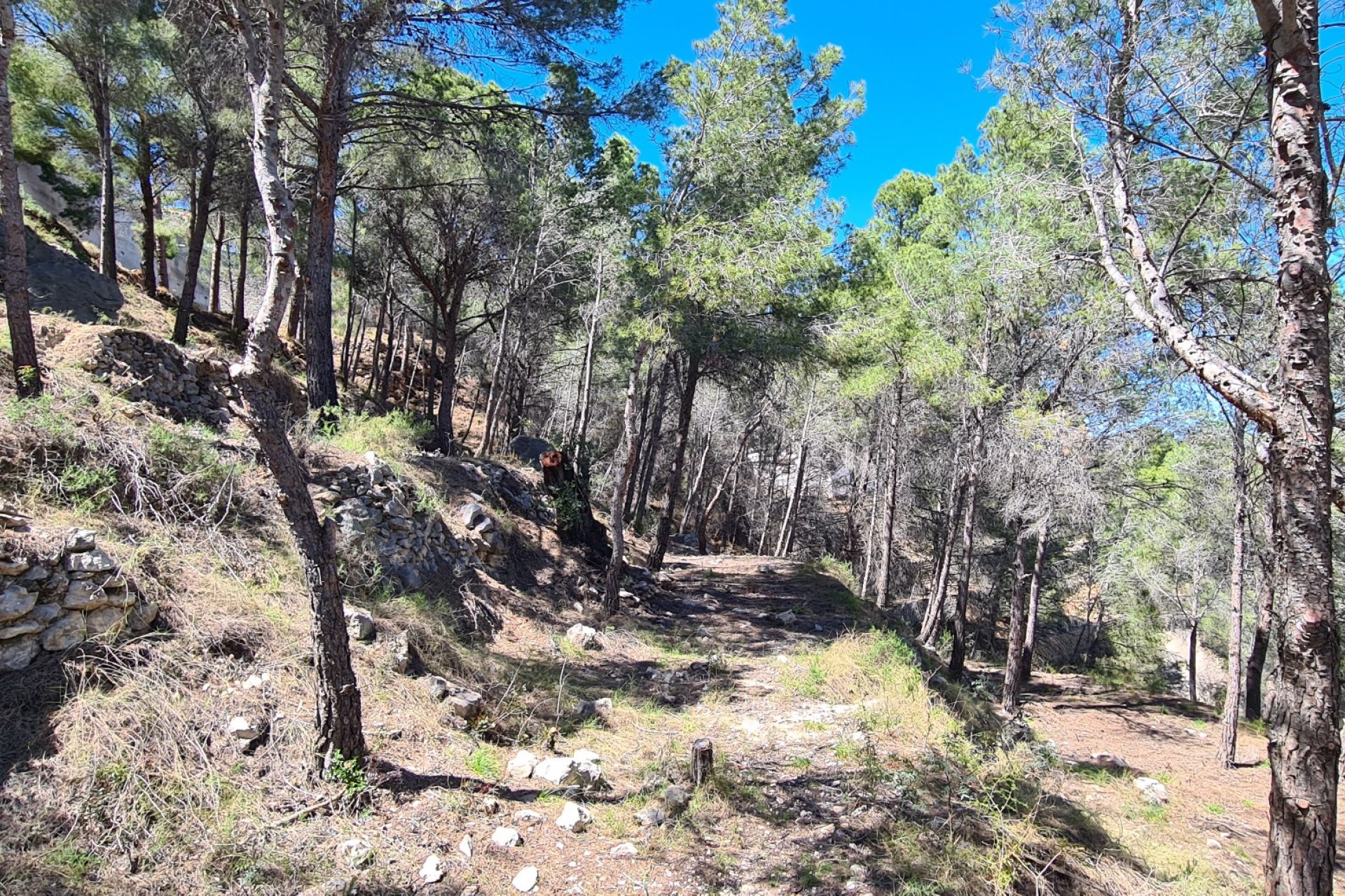 Resale - Plot - Calpe