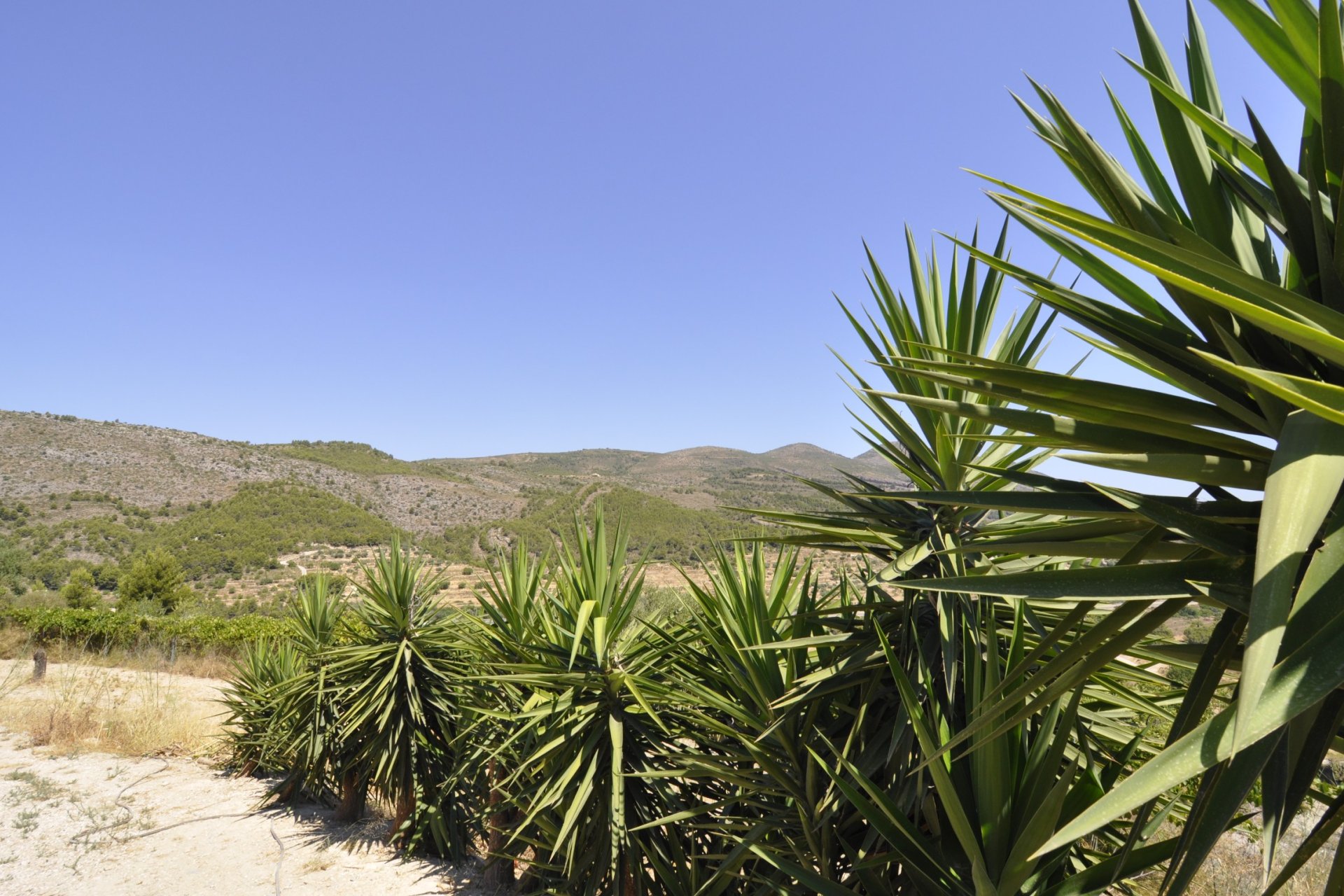 Resale - Villa - Benissa