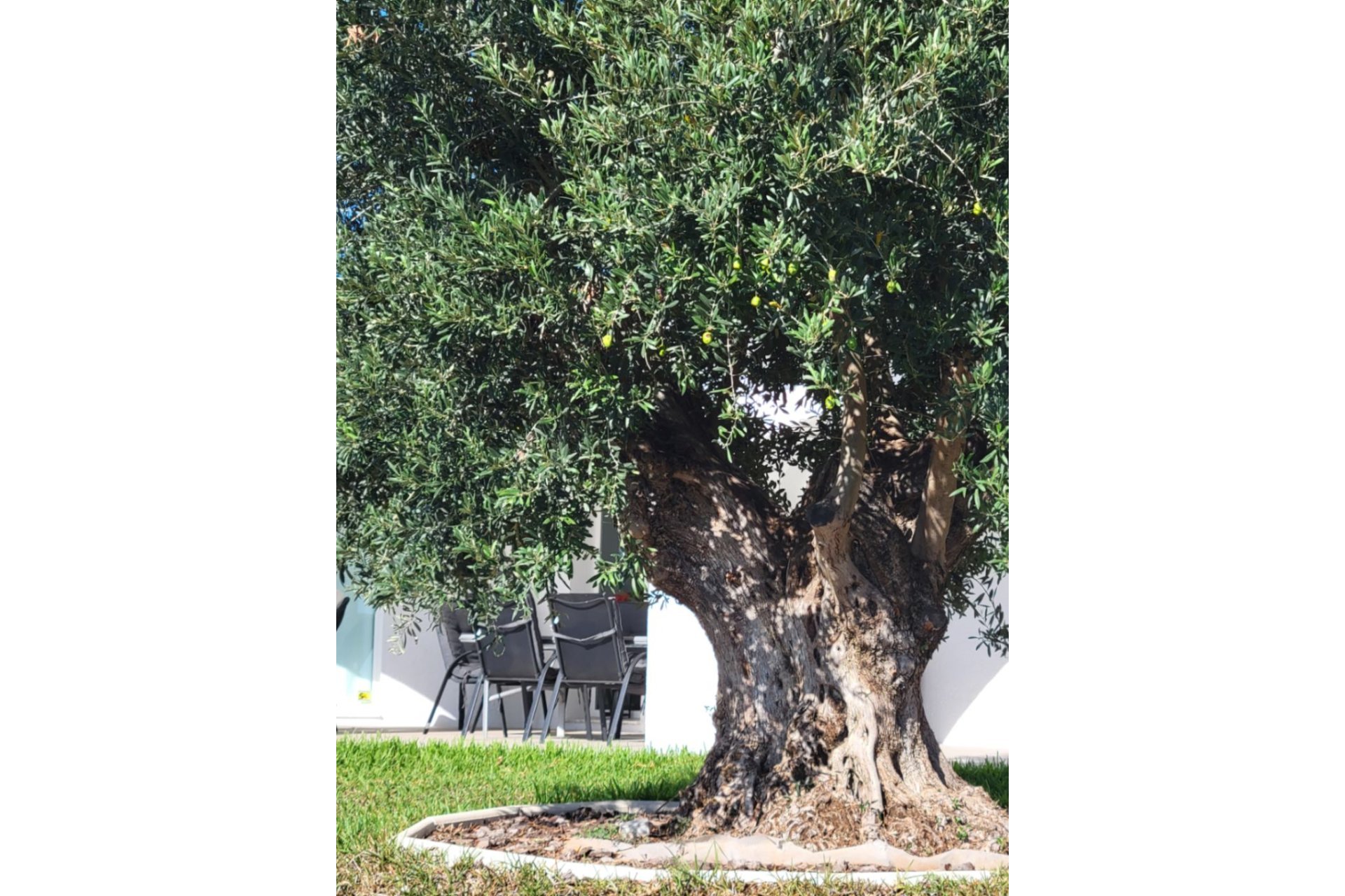 Resale - Villa - Calpe - Gran Sol