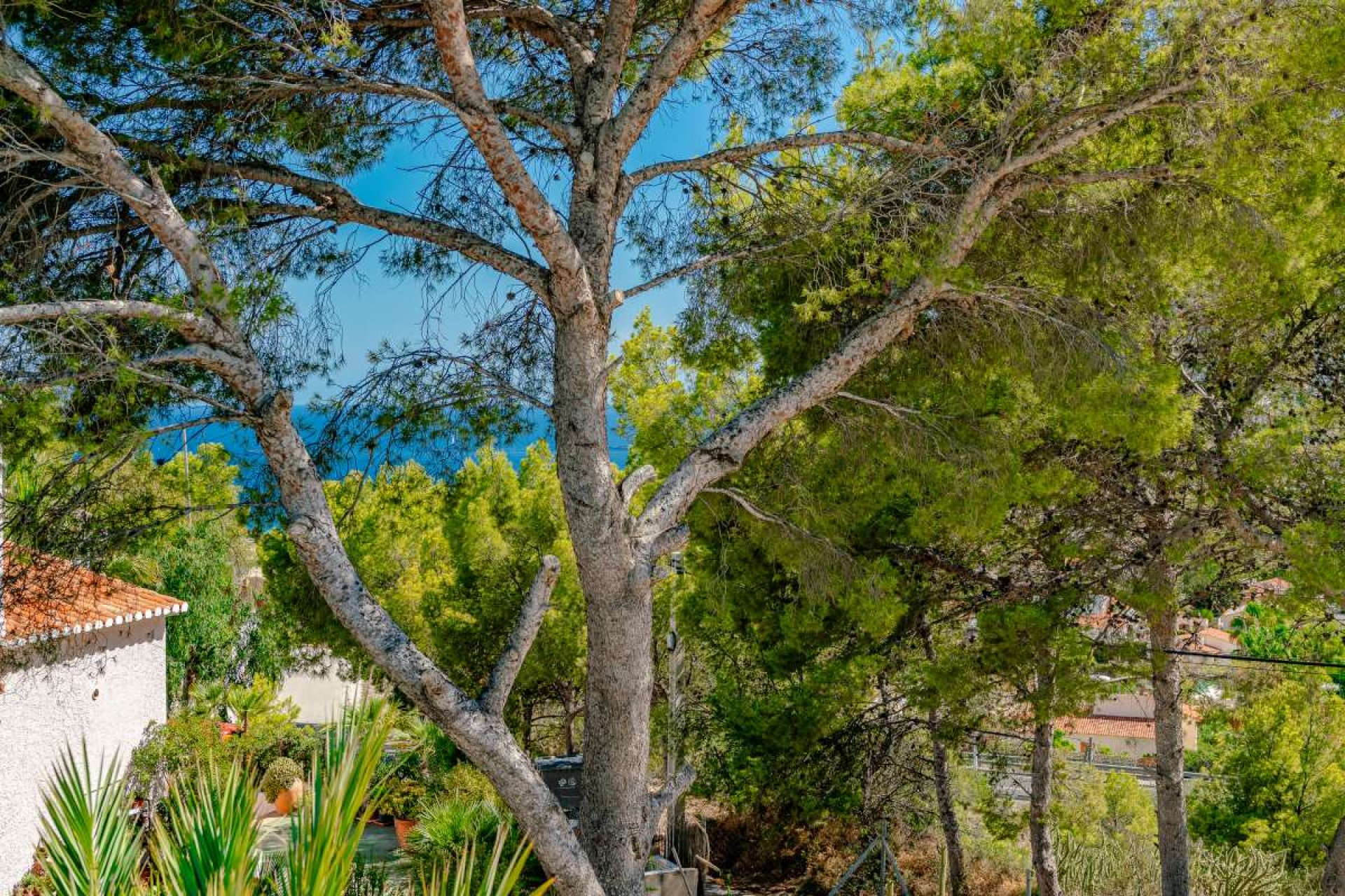 Reventa - Detached house - Calpe