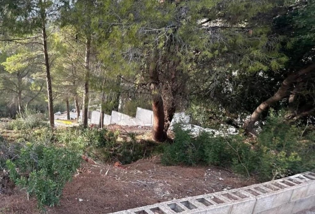 Reventa - Plot - Altea