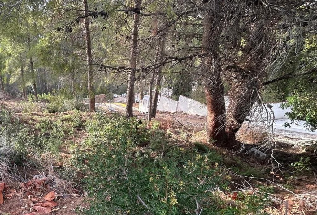 Reventa - Plot - Altea