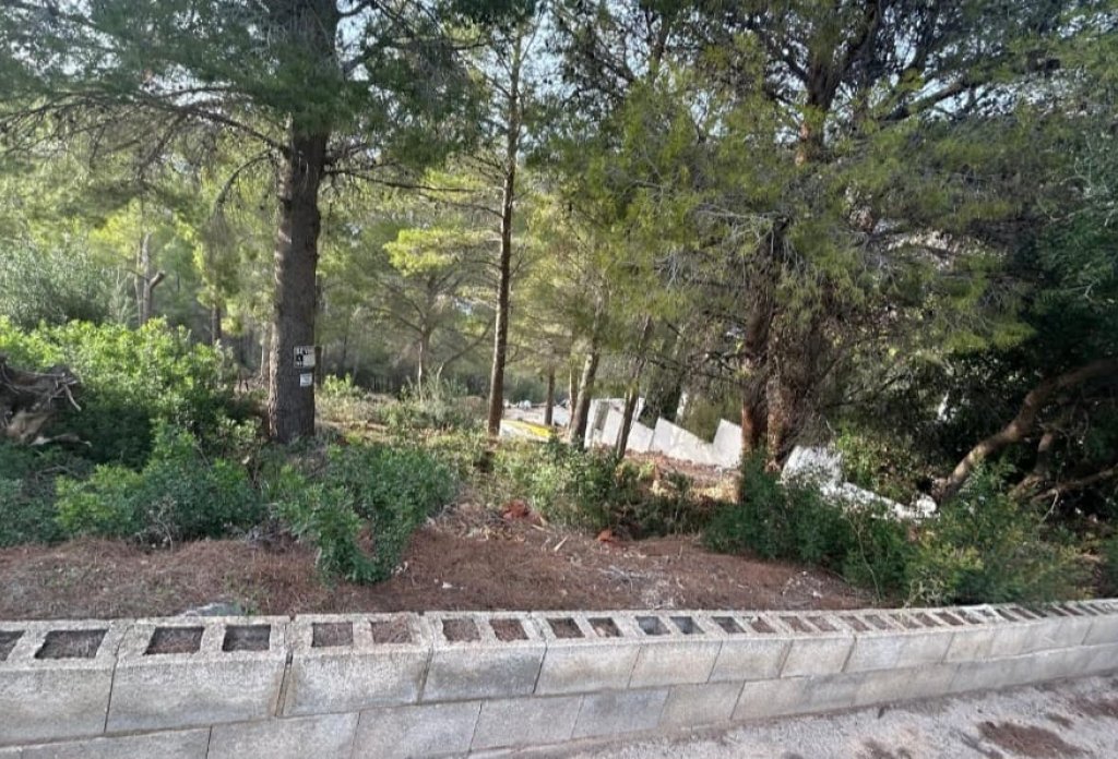 Reventa - Plot - Altea