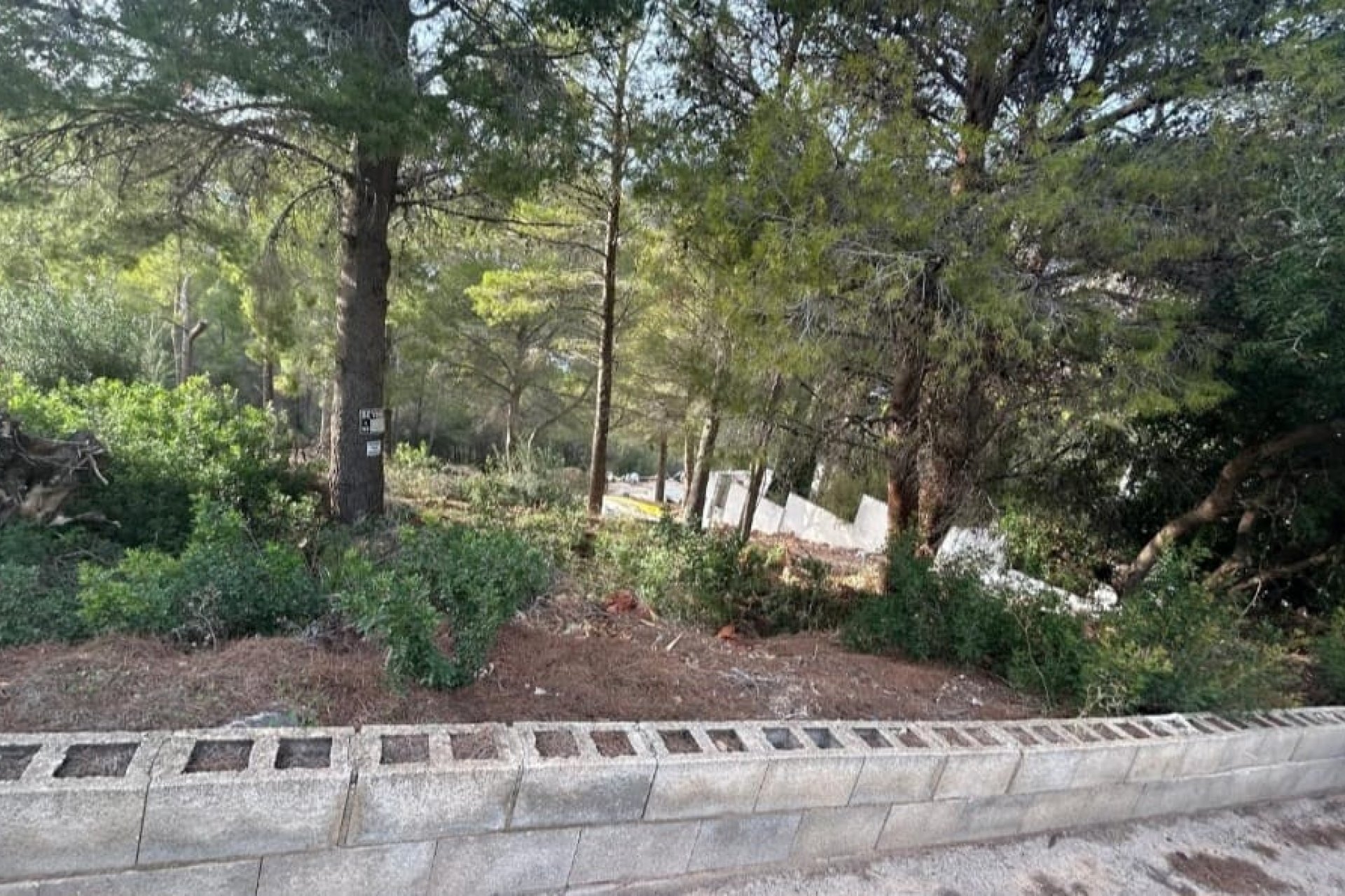 Reventa - Plot - Altea