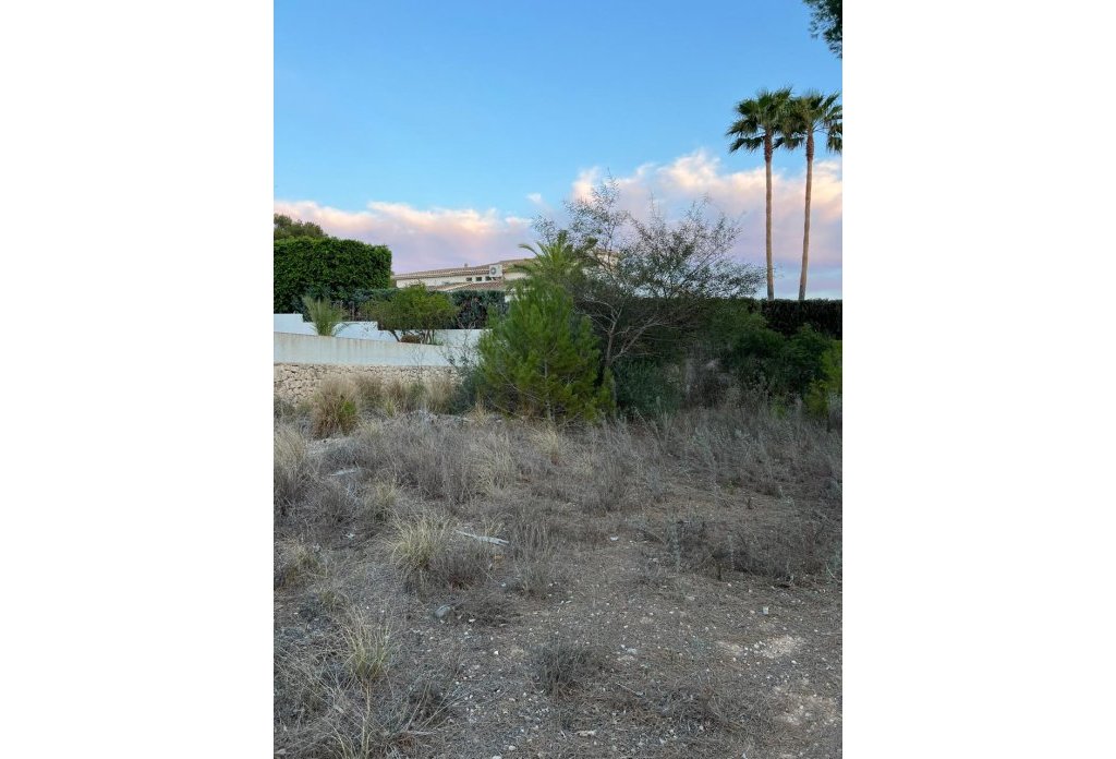 Reventa - Plot - Benissa