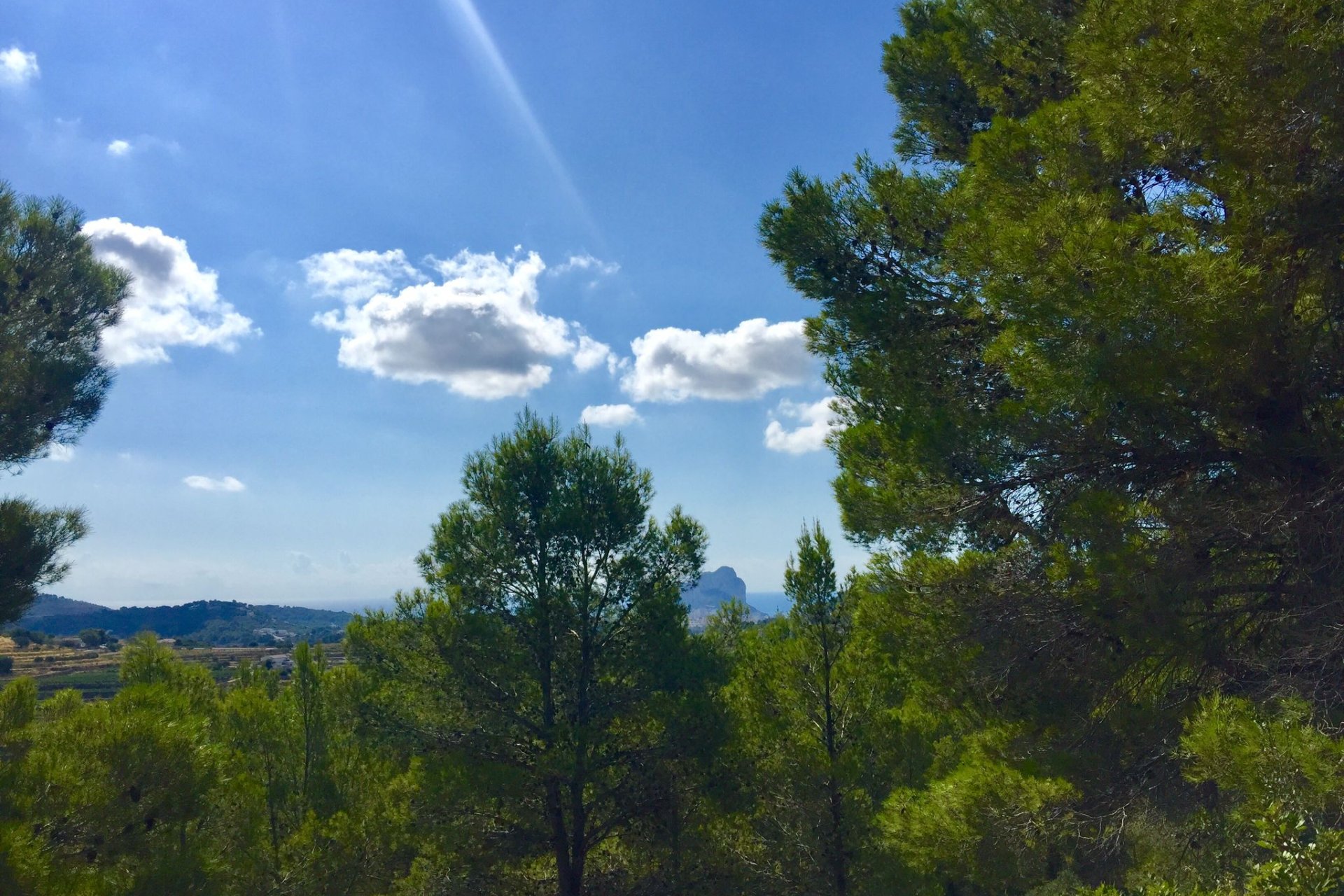 Reventa - Plot - Benissa