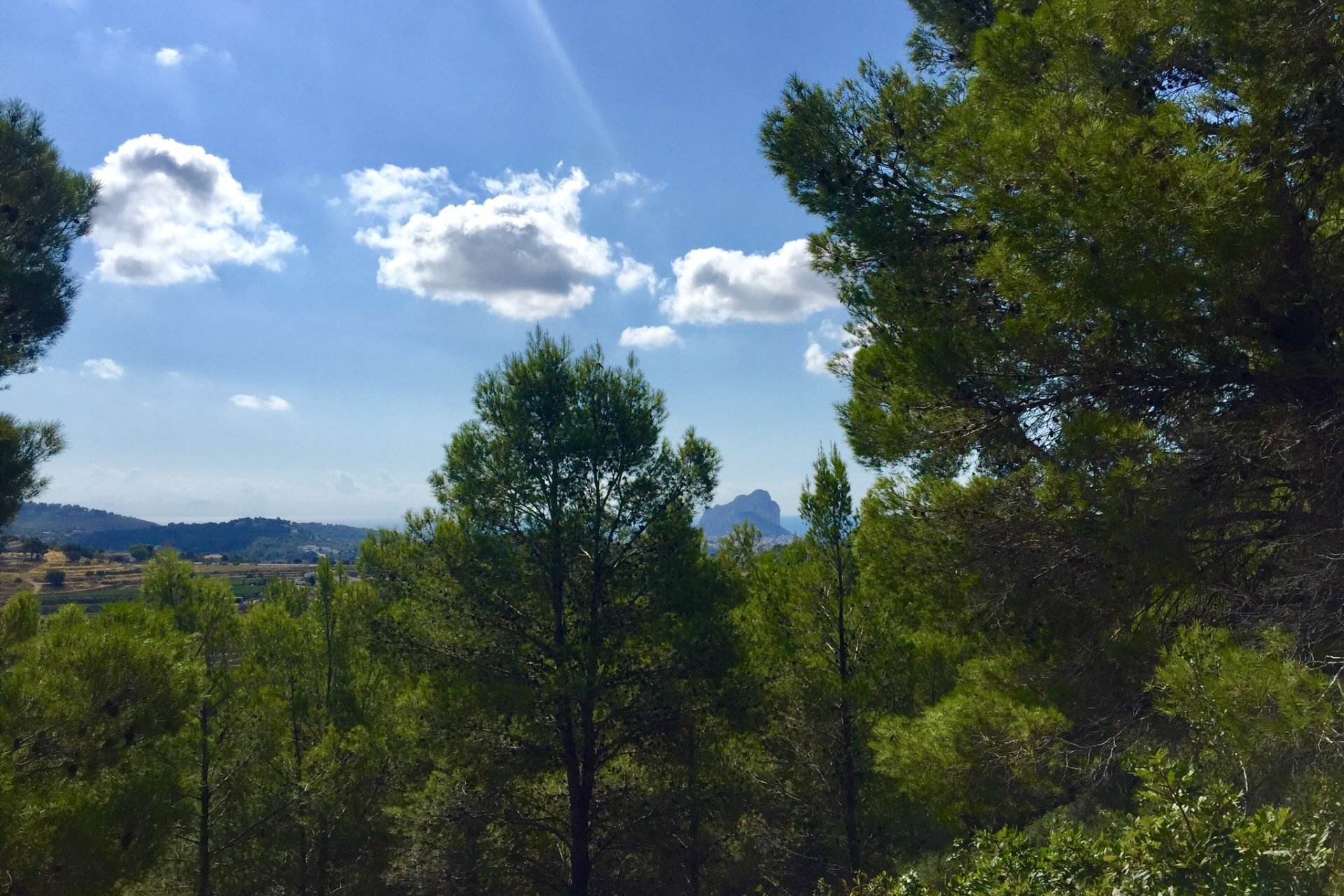 Reventa - Plot - Benissa
