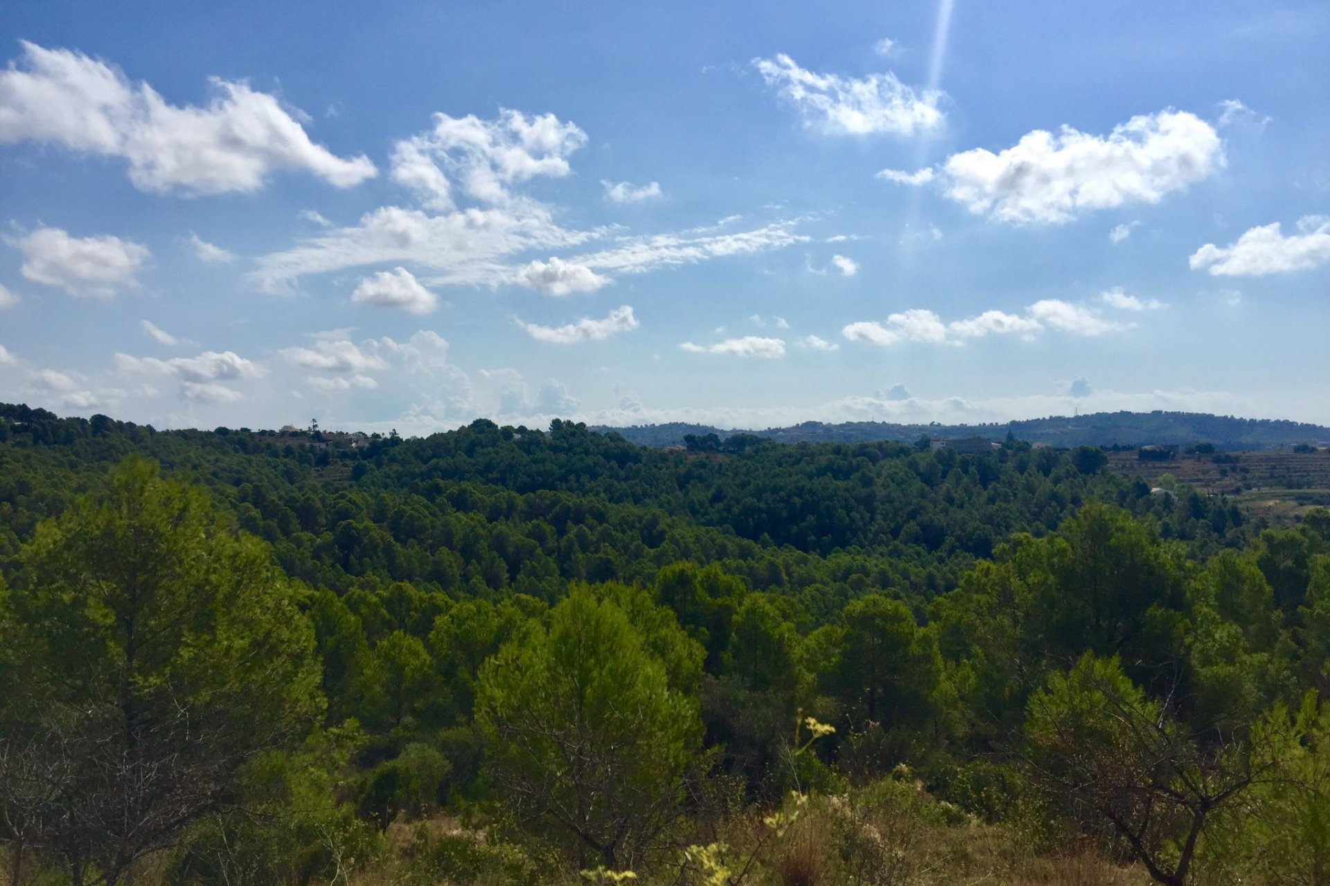 Reventa - Plot - Benissa