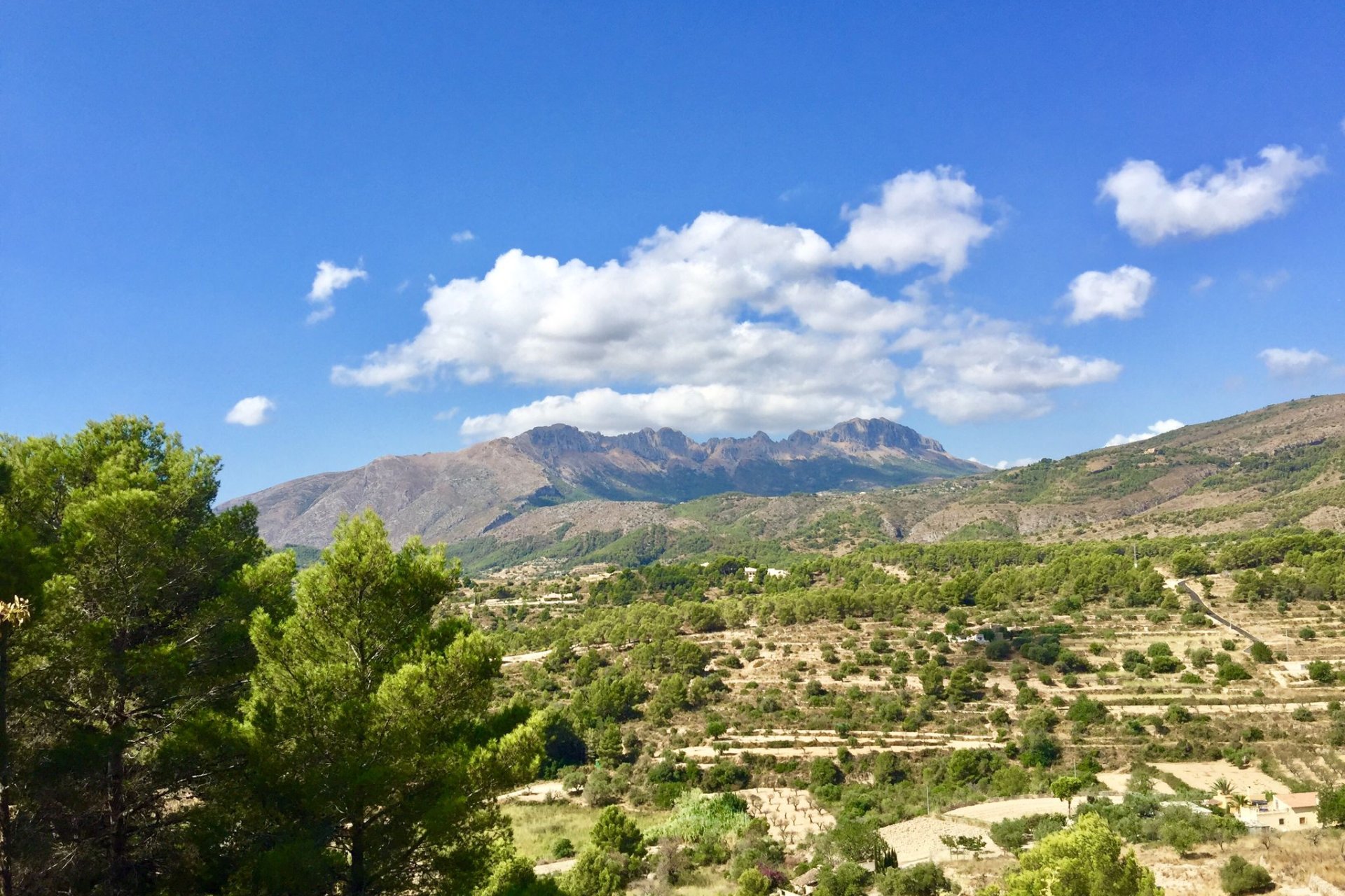 Reventa - Plot - Benissa