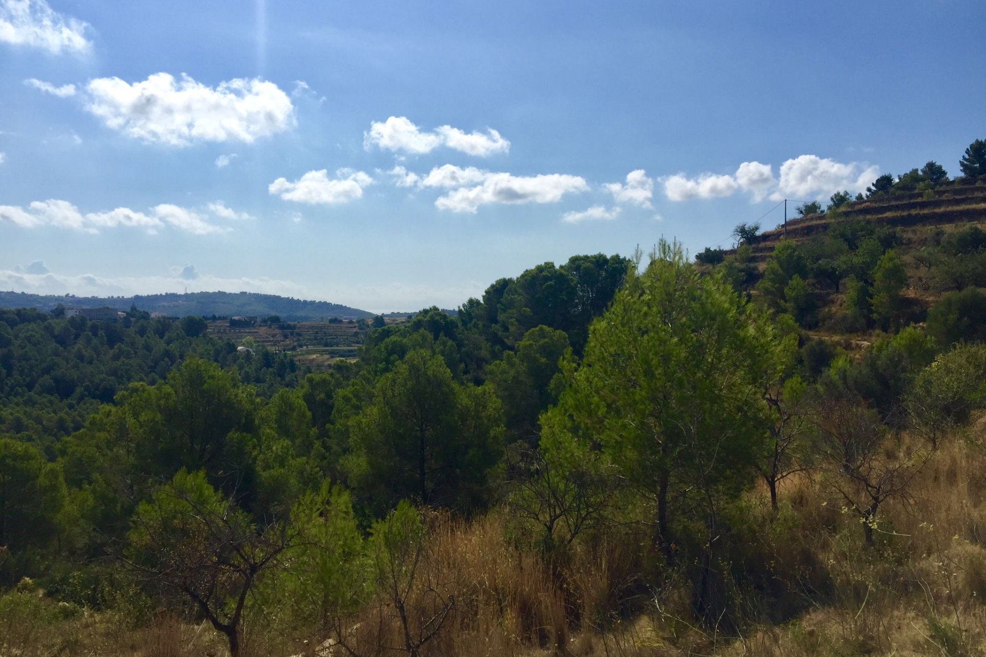 Reventa - Plot - Benissa
