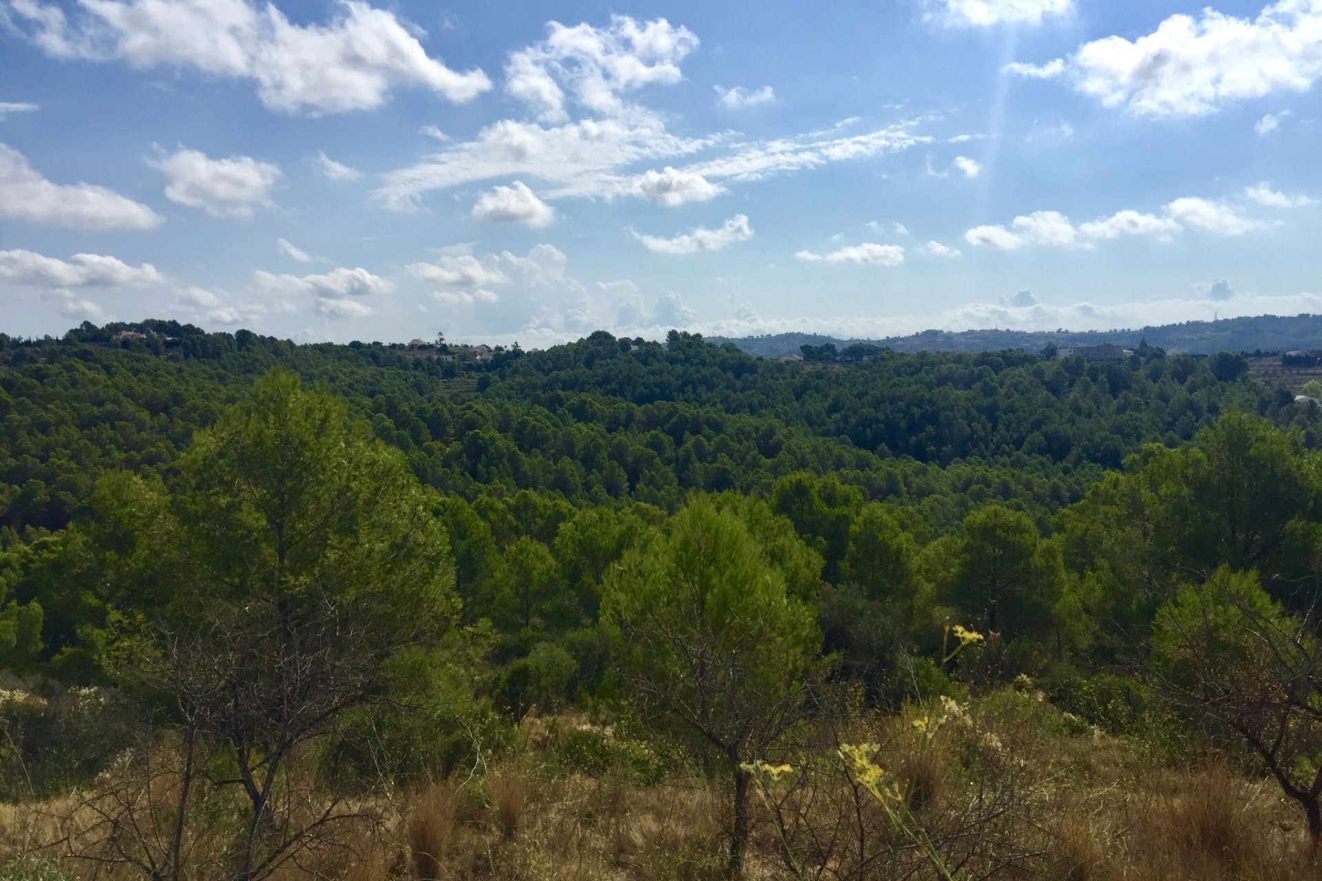 Reventa - Plot - Benissa