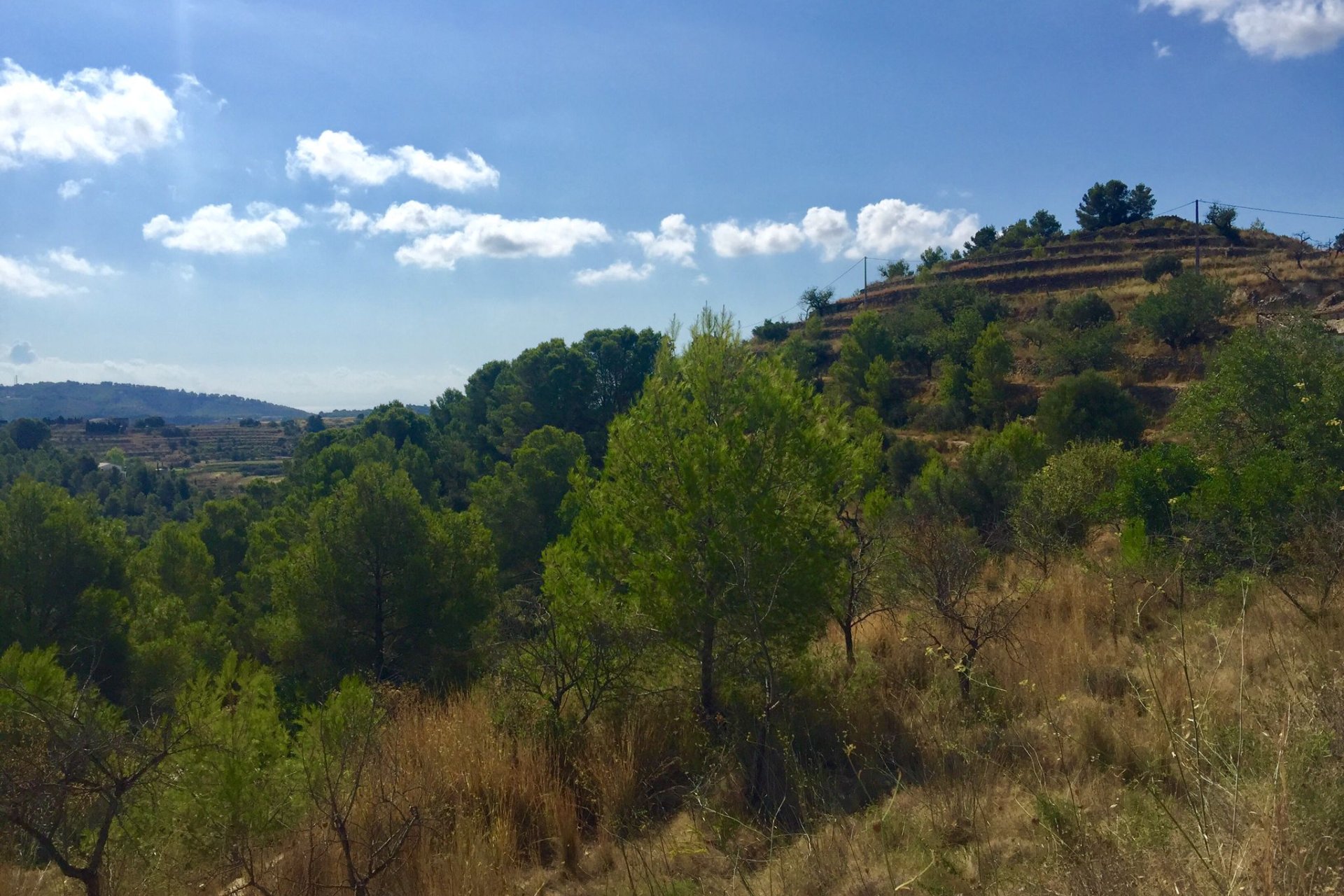 Reventa - Plot - Benissa