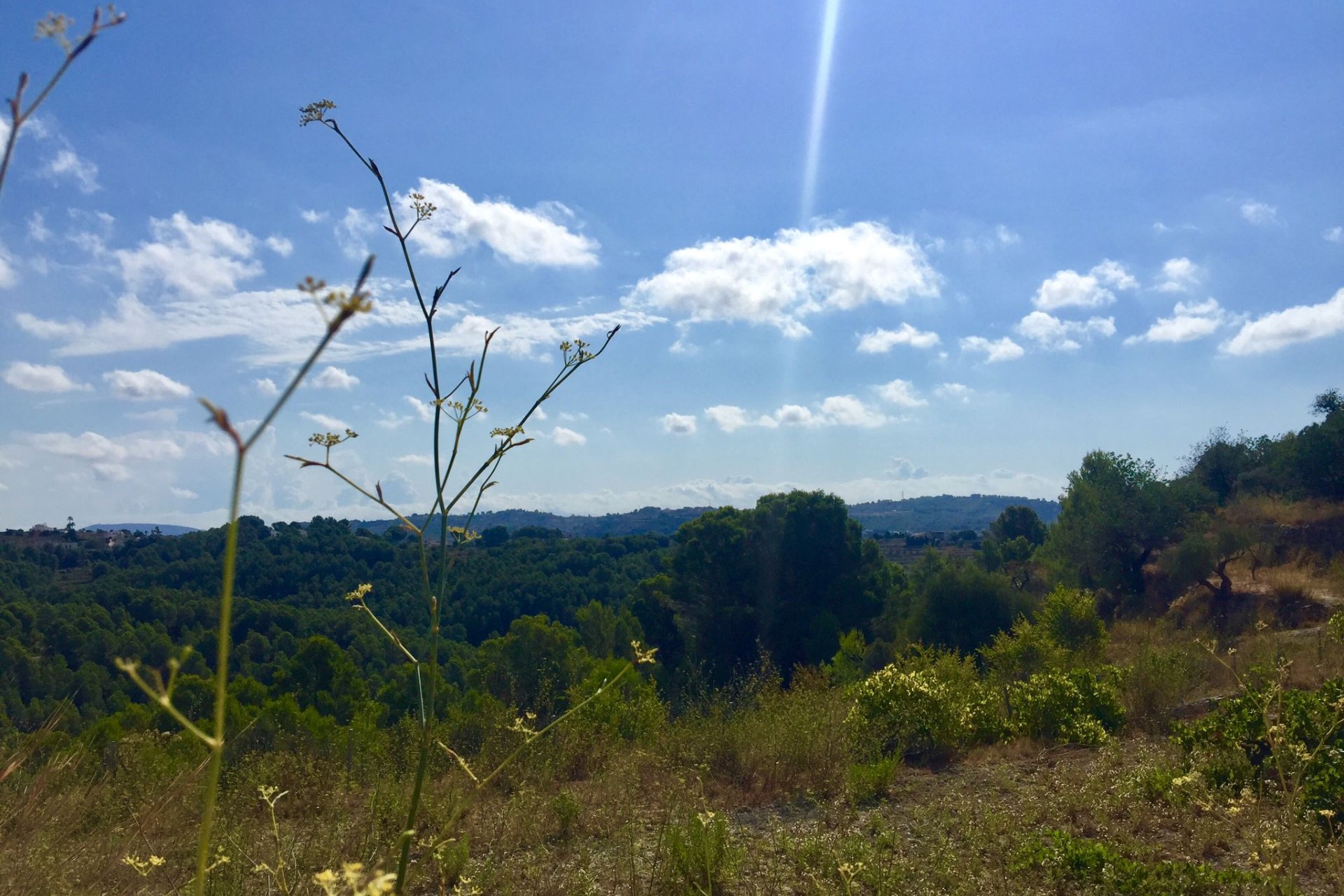 Reventa - Plot - Benissa