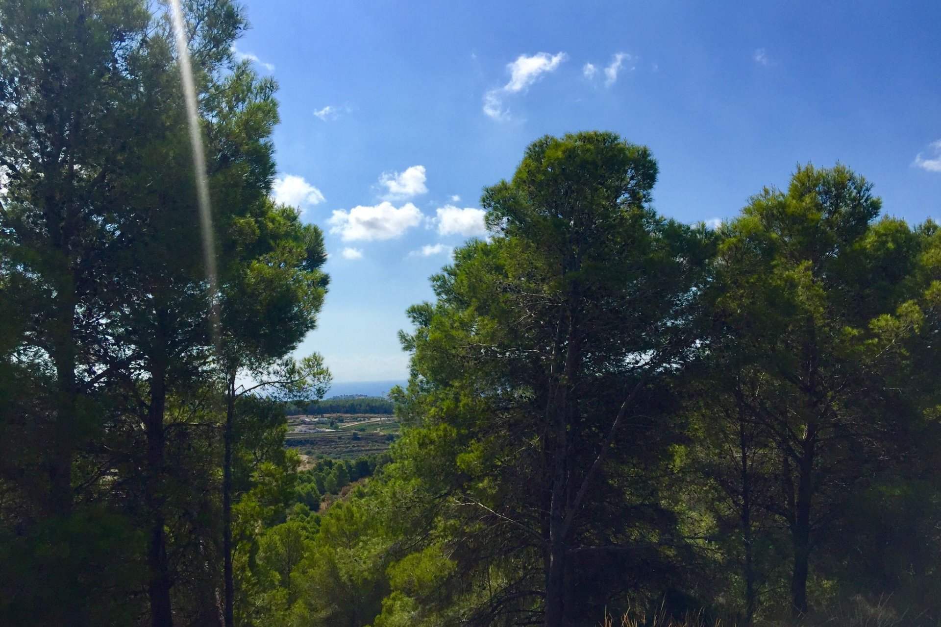 Reventa - Plot - Benissa