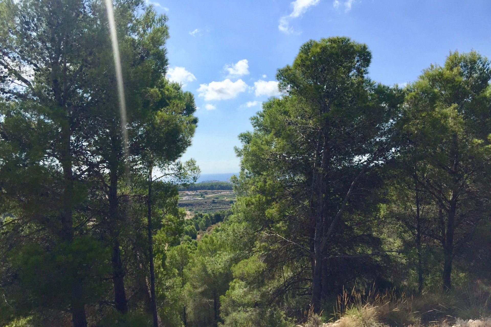 Reventa - Plot - Benissa