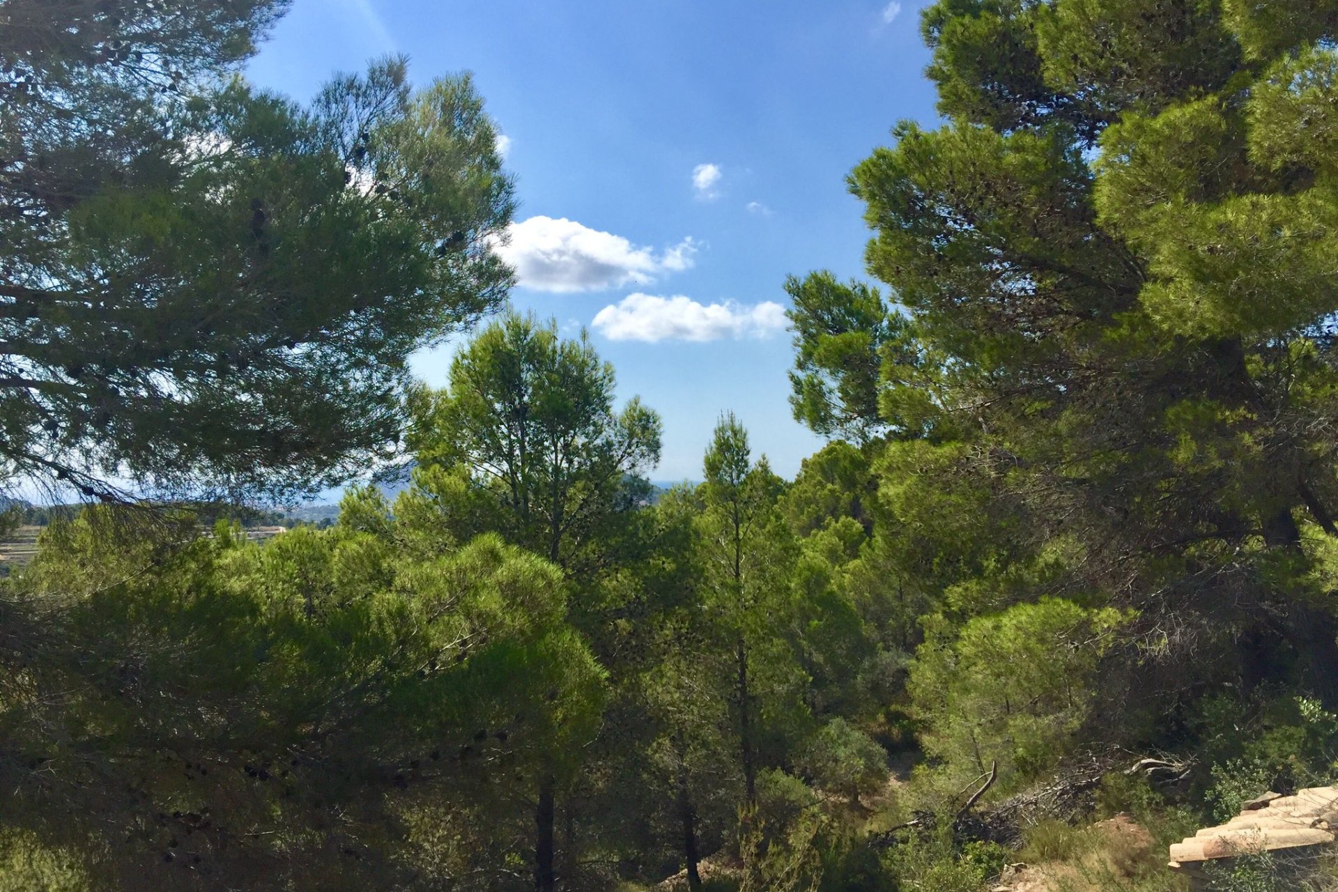 Reventa - Plot - Benissa
