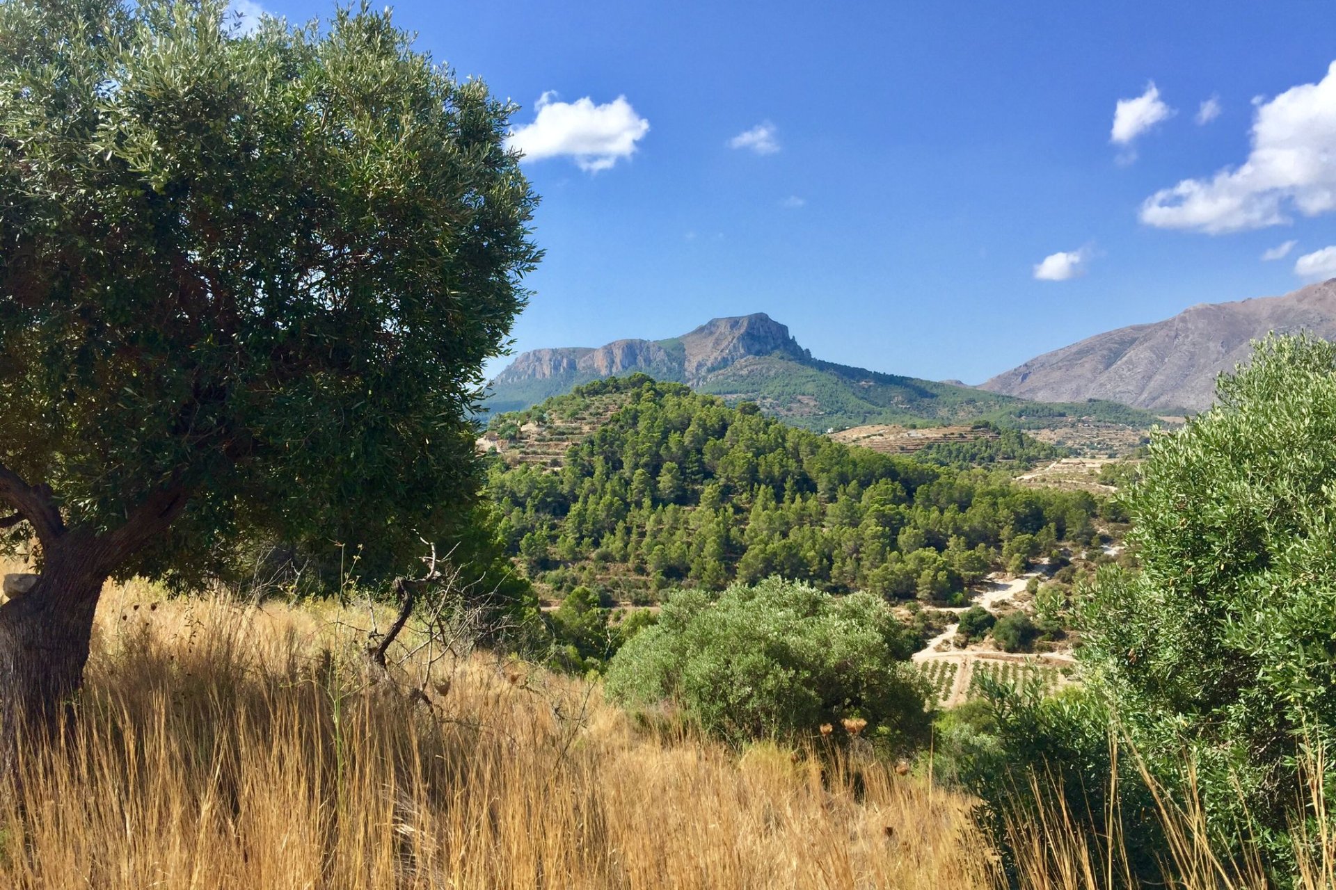 Reventa - Plot - Benissa