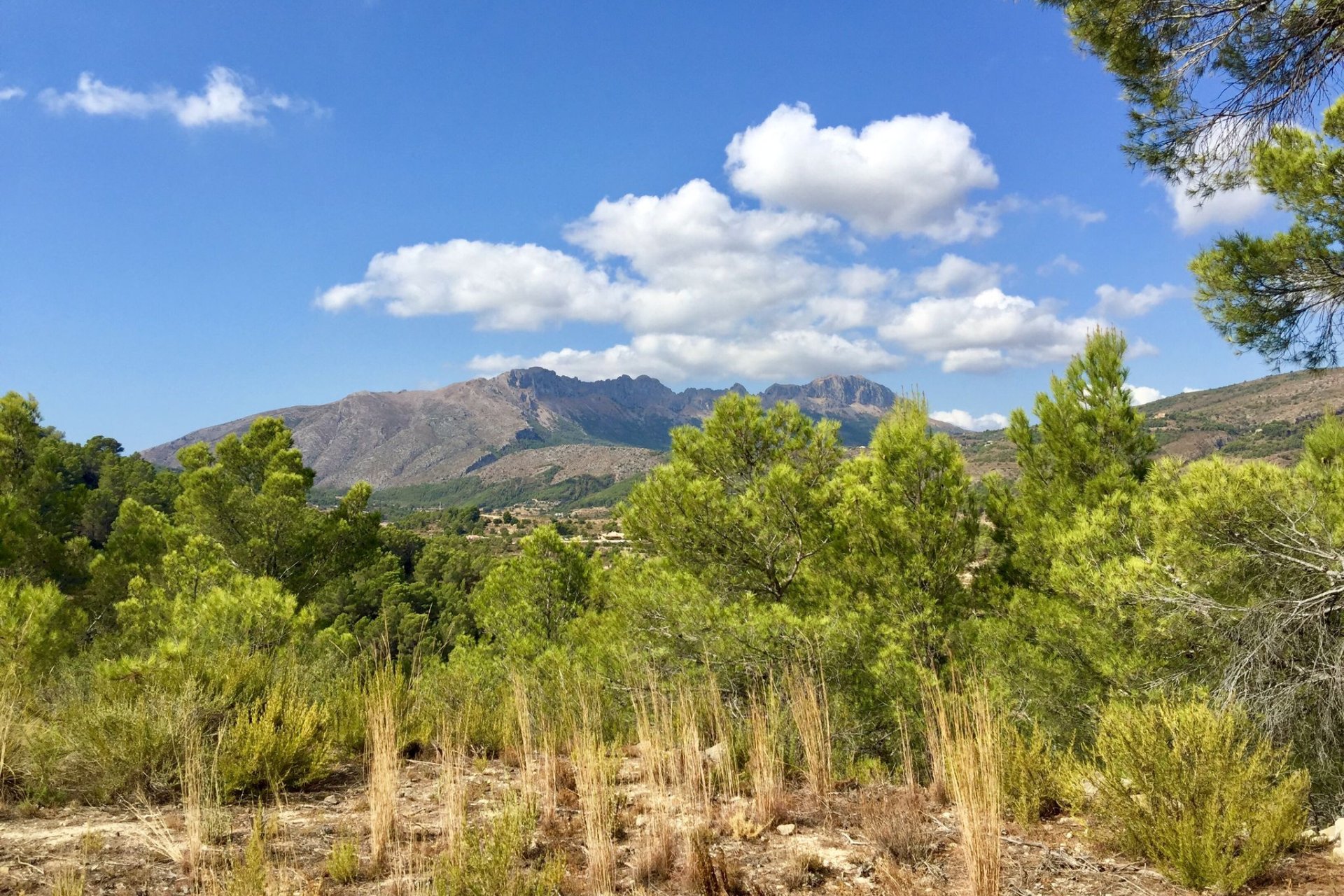 Reventa - Plot - Benissa