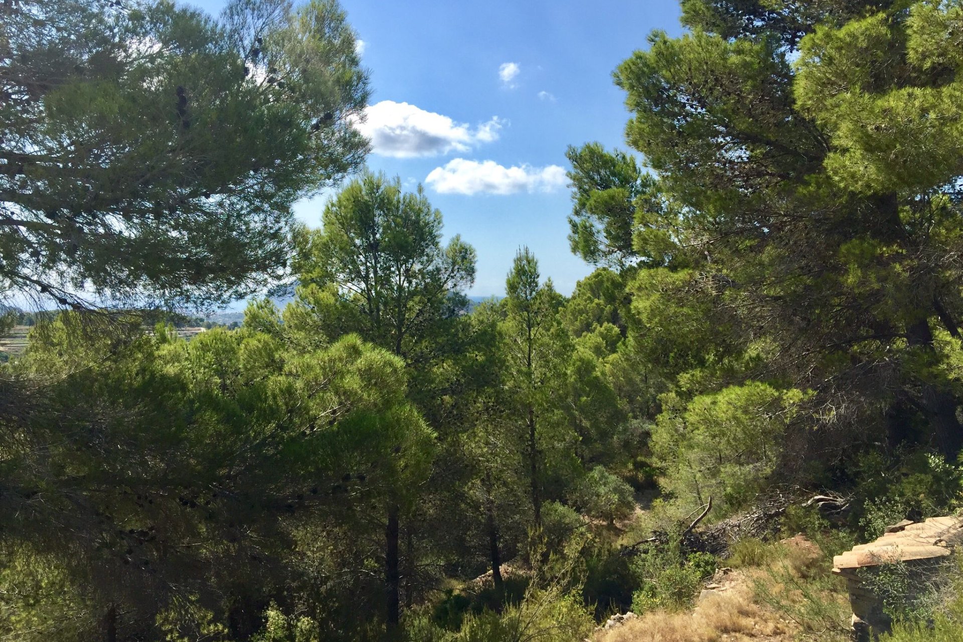 Reventa - Plot - Benissa