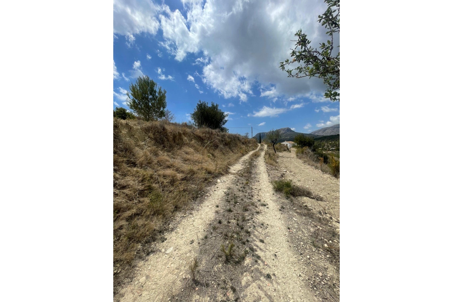 Reventa - Plot - Benissa