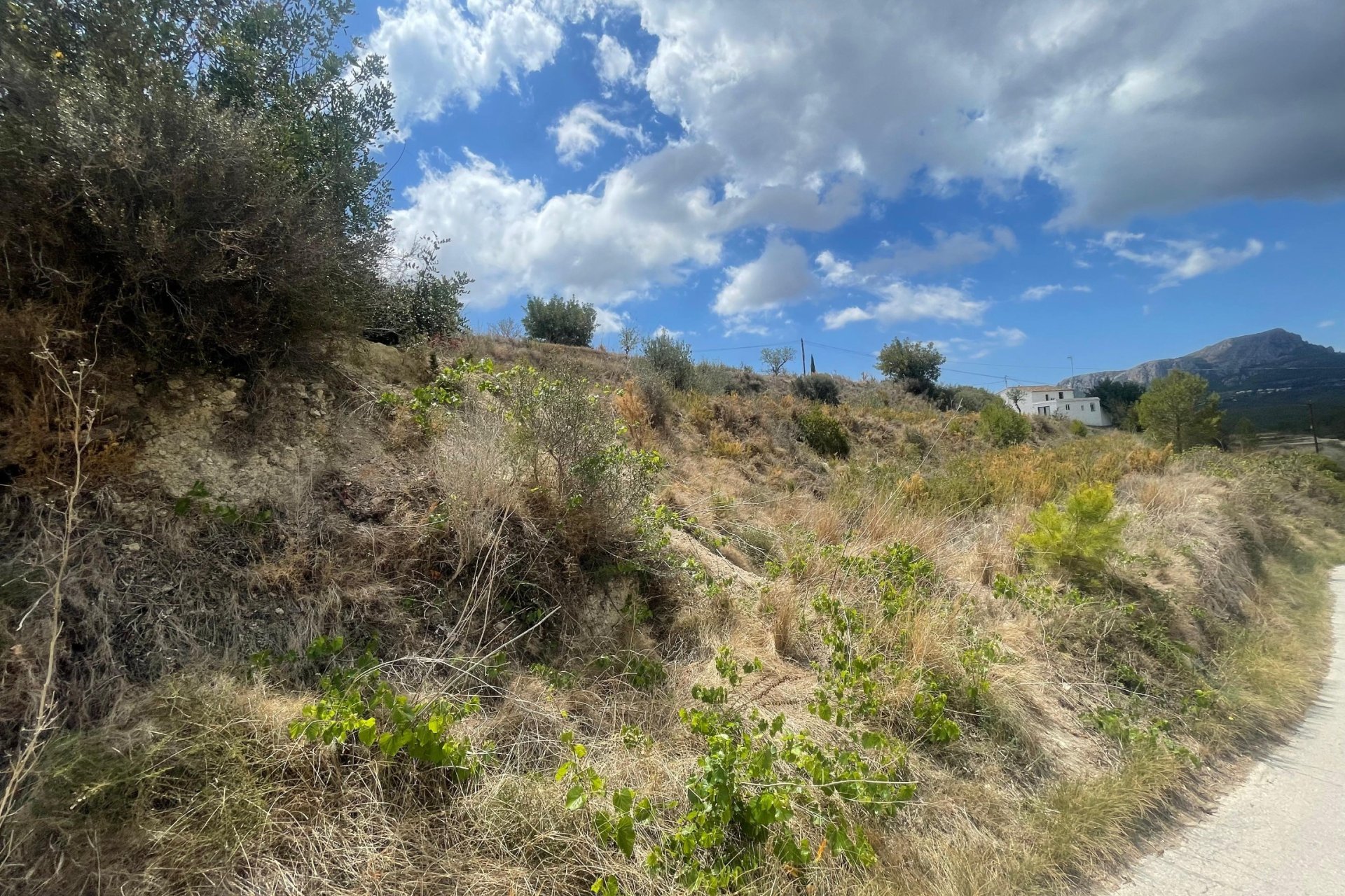 Reventa - Plot - Benissa