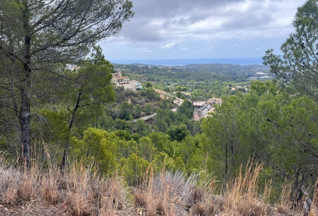 Reventa - Plot - Callosa d'En Sarrià