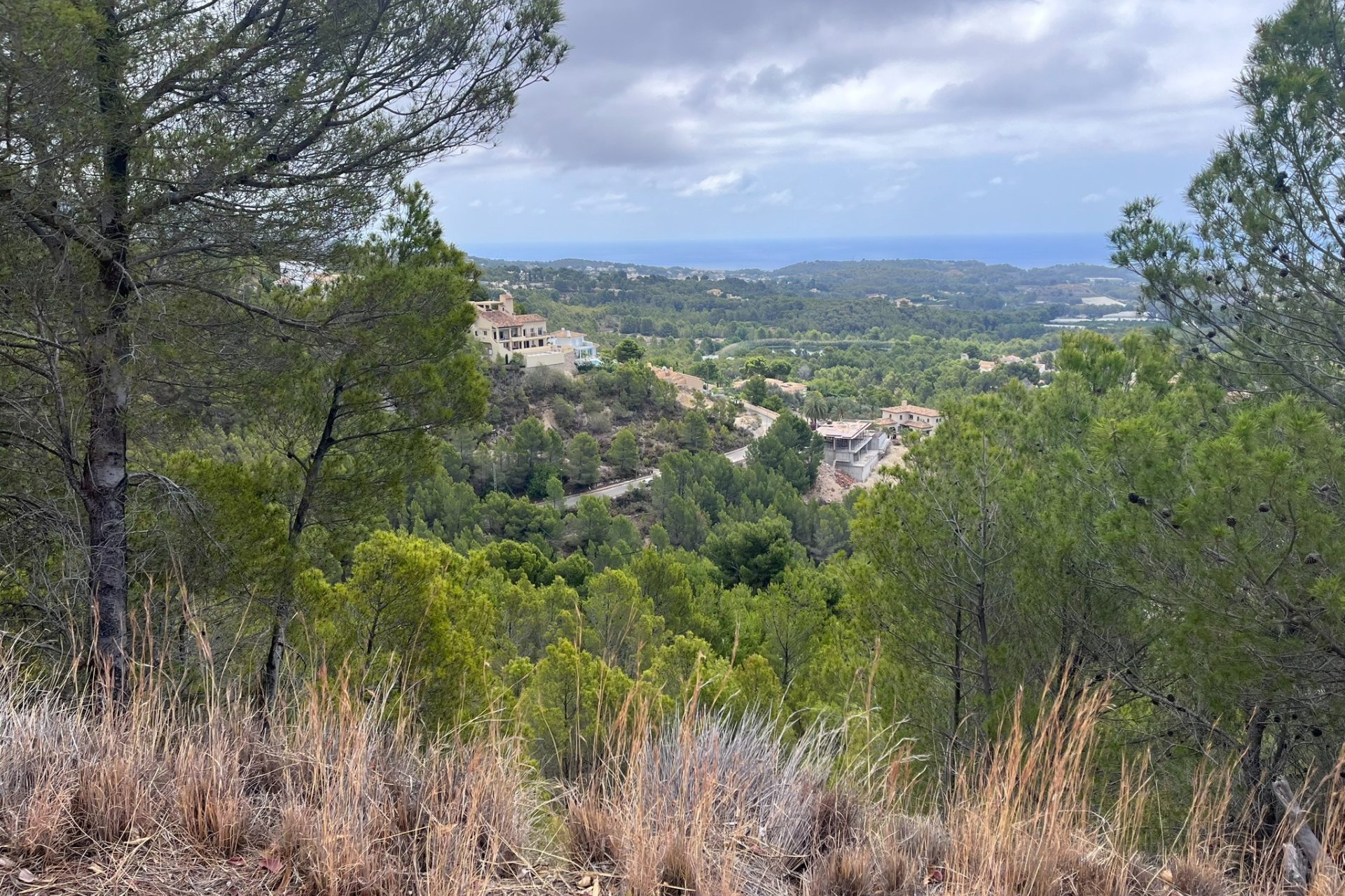 Reventa - Plot - Callosa d'En Sarrià