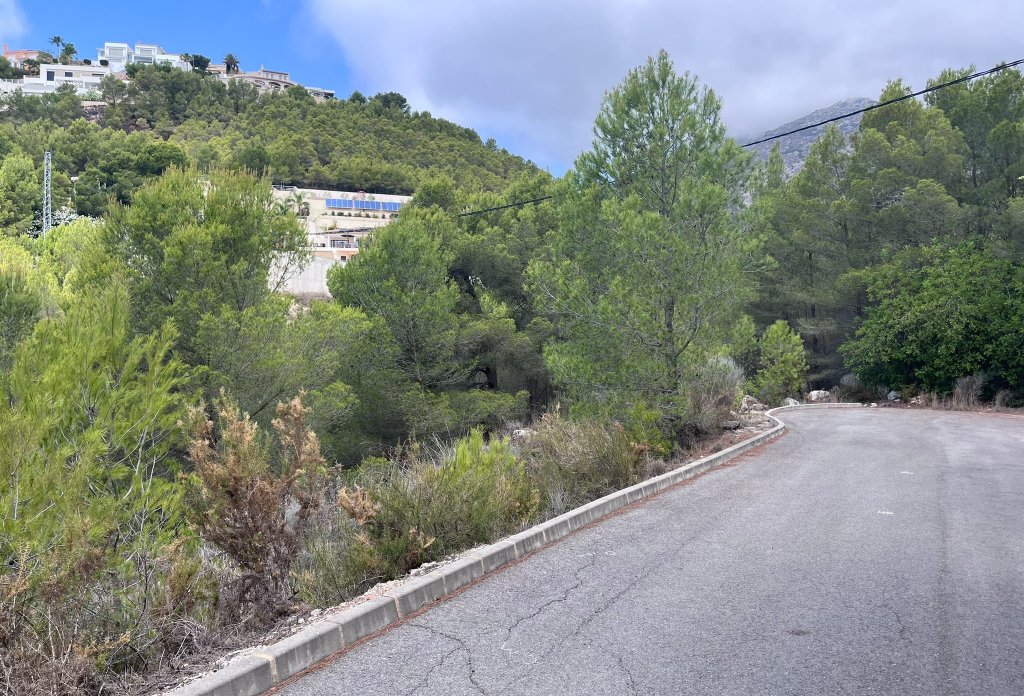 Reventa - Plot - Callosa d'En Sarrià