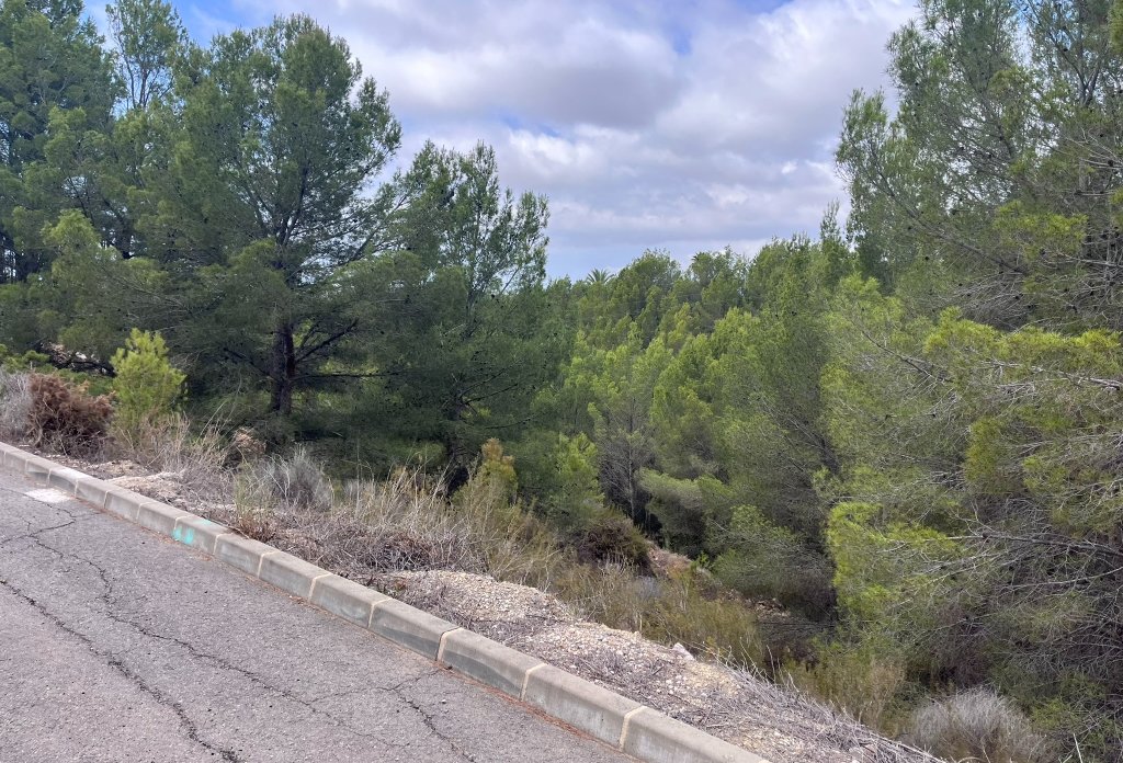 Reventa - Plot - Callosa d'En Sarrià