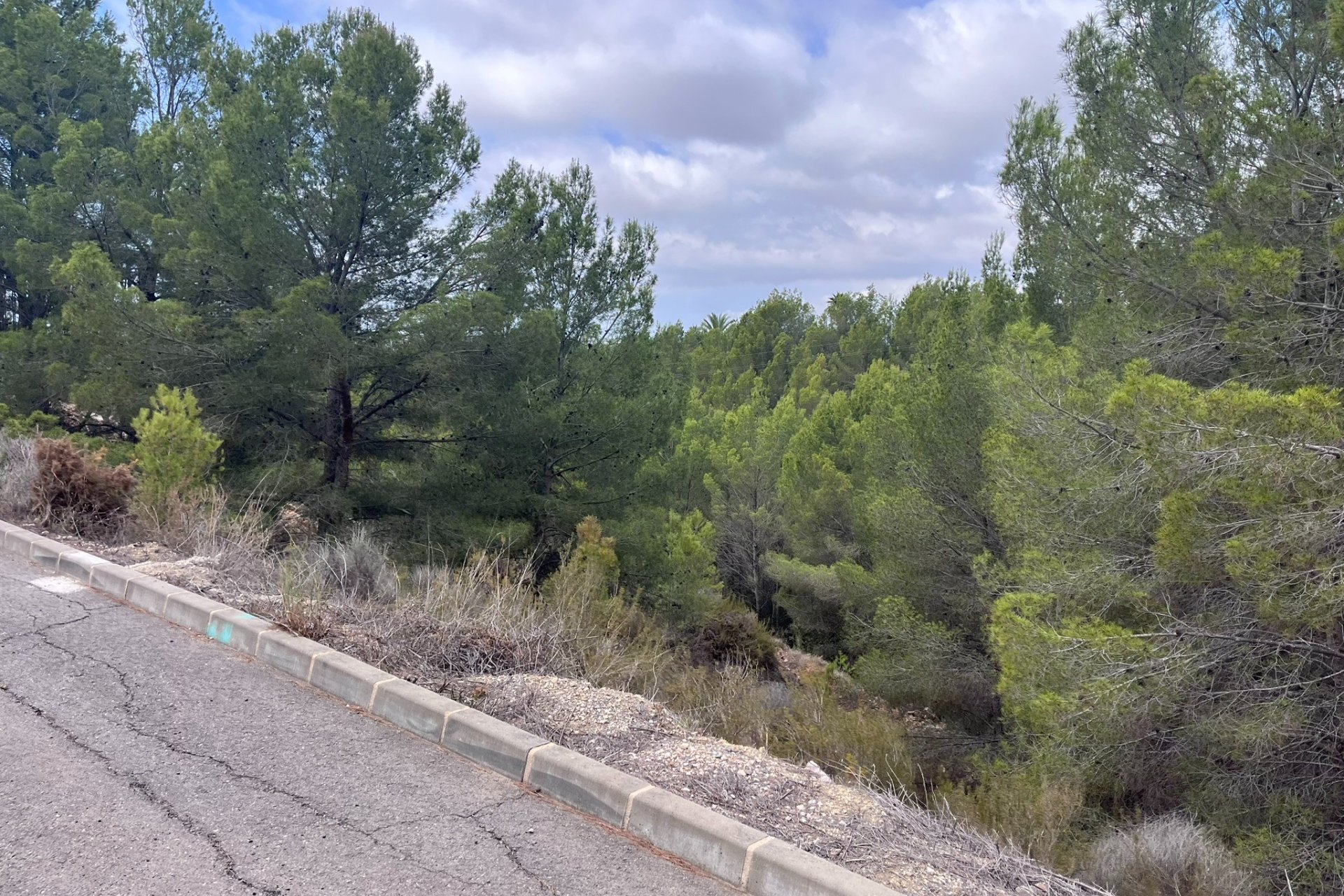 Reventa - Plot - Callosa d'En Sarrià