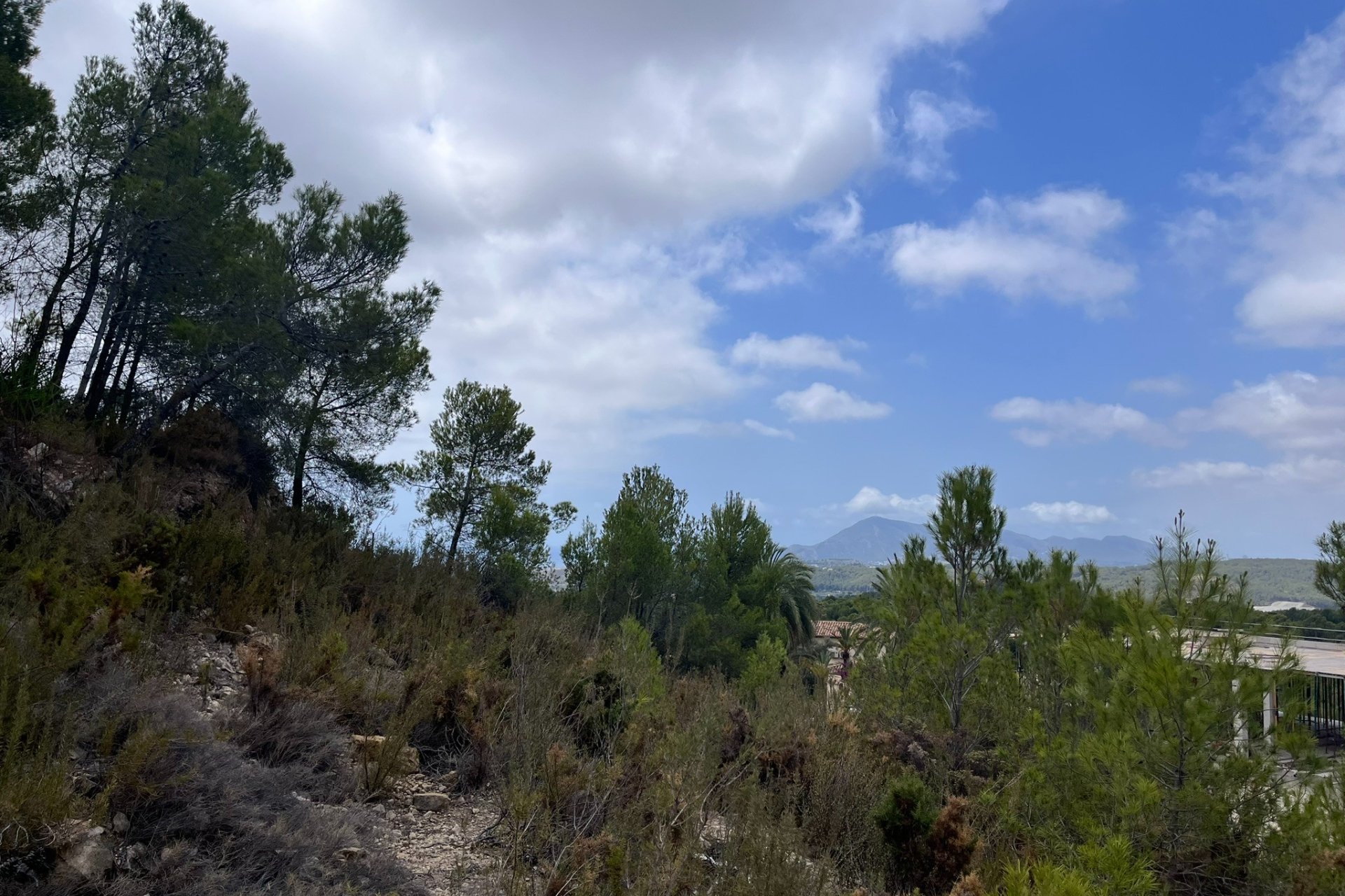 Reventa - Plot - Callosa d'En Sarrià