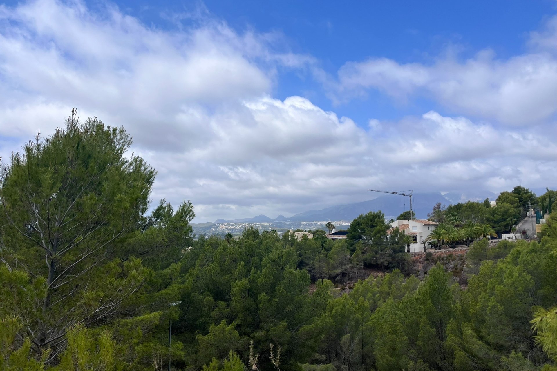 Reventa - Plot - Callosa d'En Sarrià