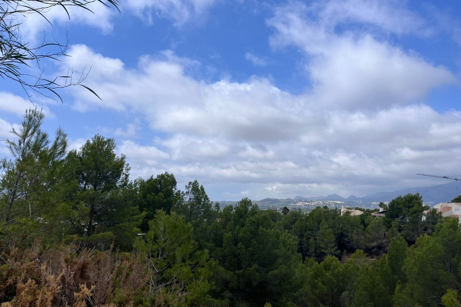 Reventa - Plot - Callosa d'En Sarrià
