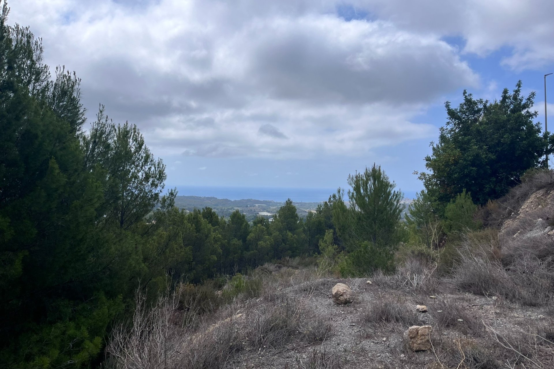 Reventa - Plot - Callosa d'En Sarrià