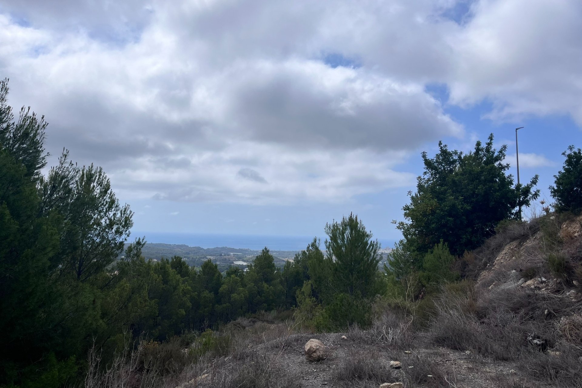 Reventa - Plot - Callosa d'En Sarrià