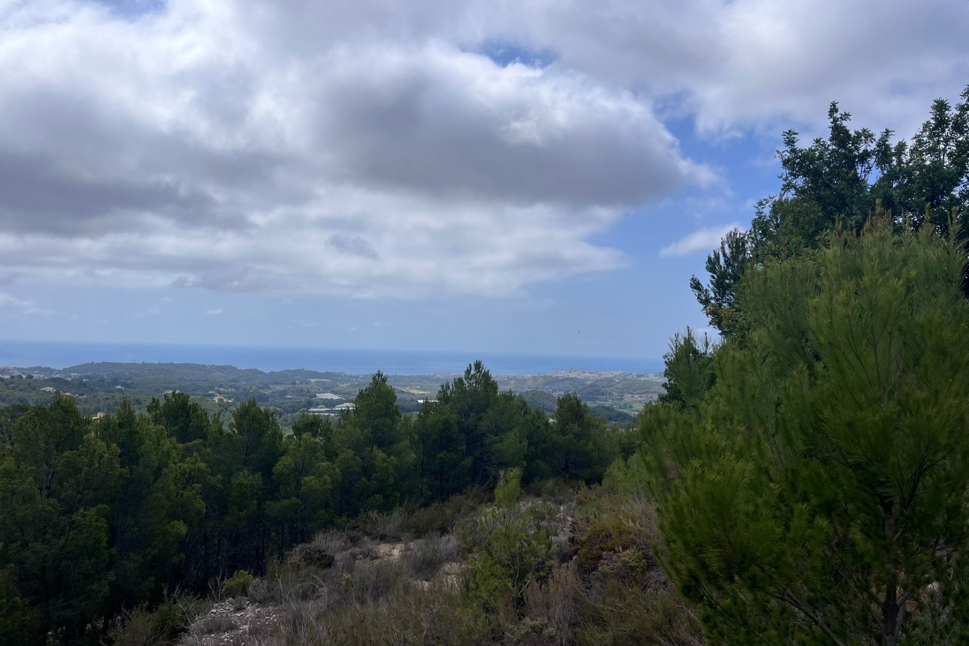 Reventa - Plot - Callosa d'En Sarrià