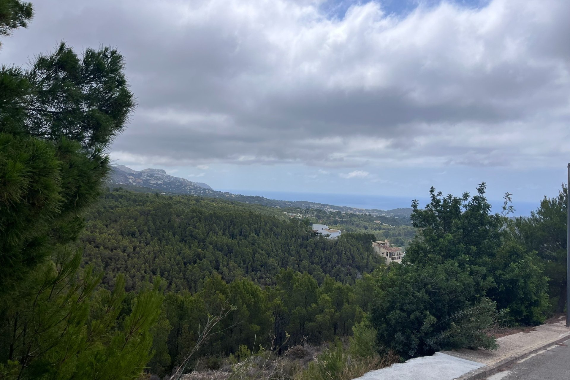 Reventa - Plot - Callosa d'En Sarrià