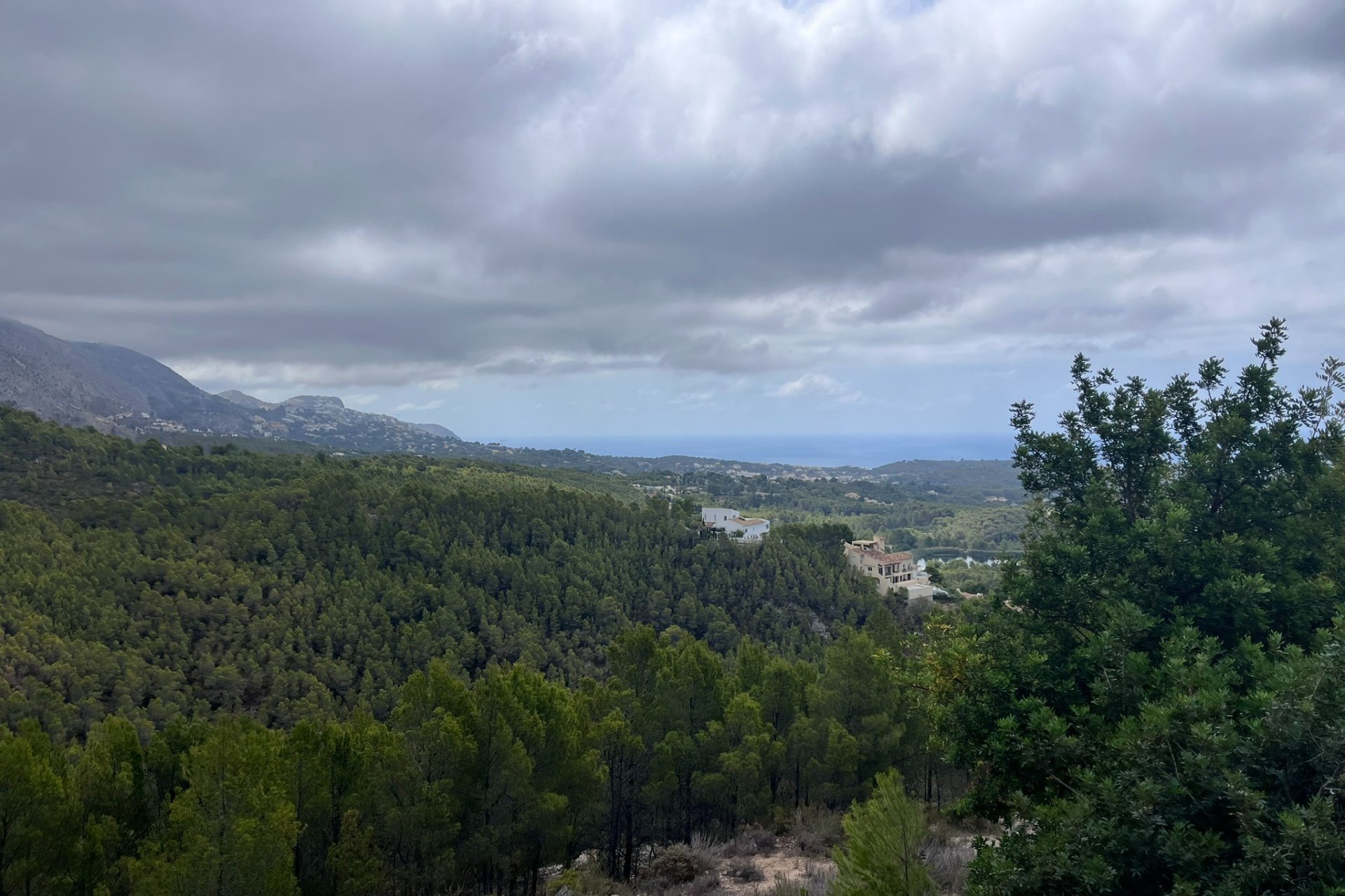 Reventa - Plot - Callosa d'En Sarrià