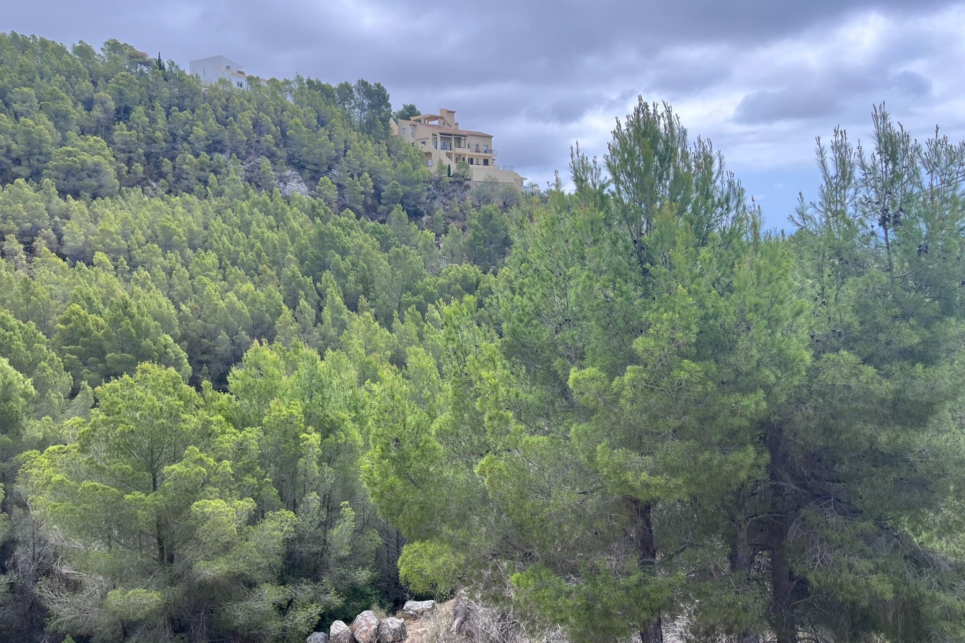Reventa - Plot - Callosa d'En Sarrià