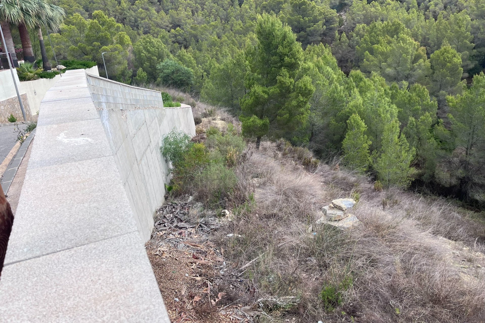 Reventa - Plot - Callosa d'En Sarrià