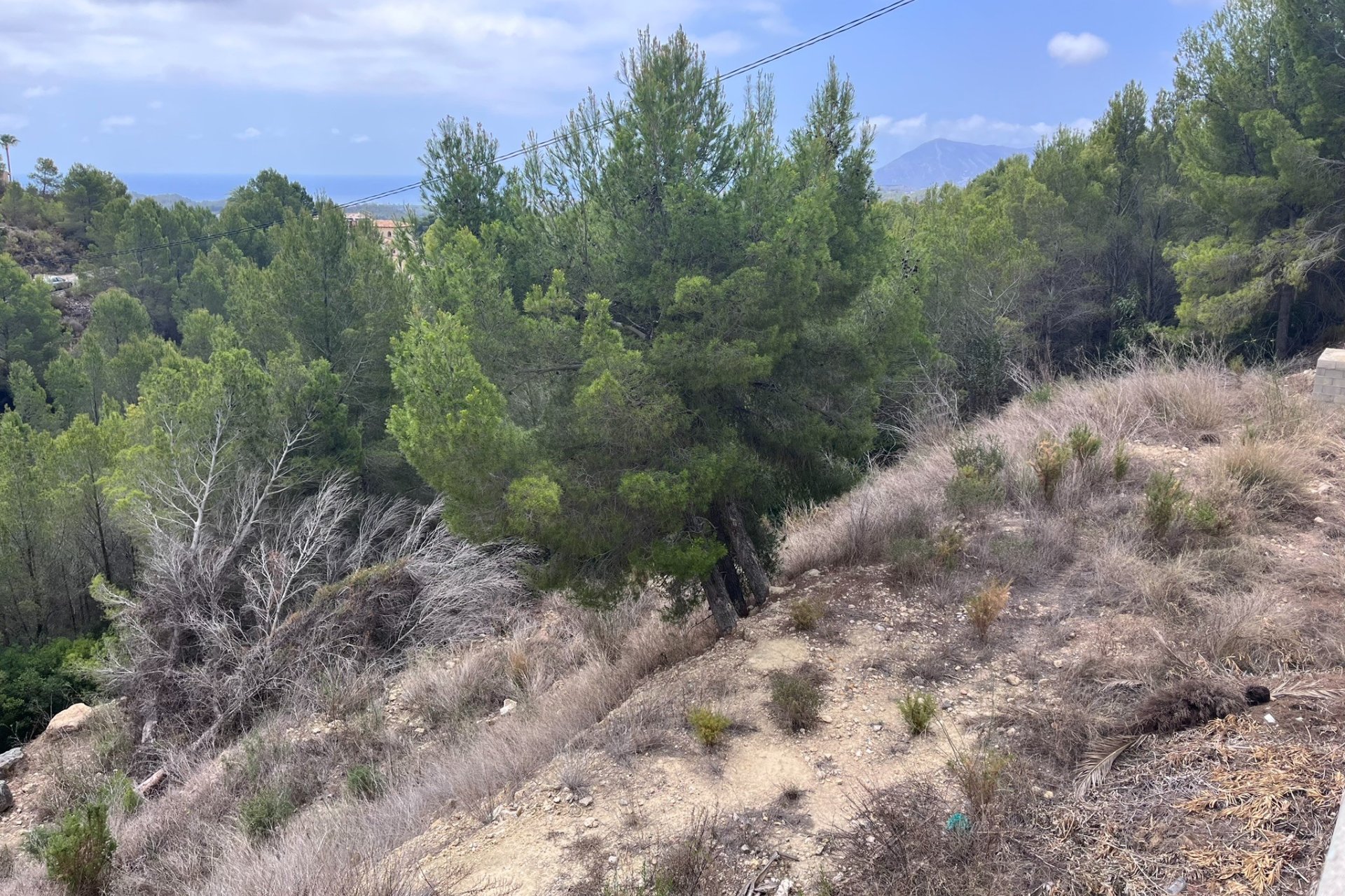Reventa - Plot - Callosa d'En Sarrià