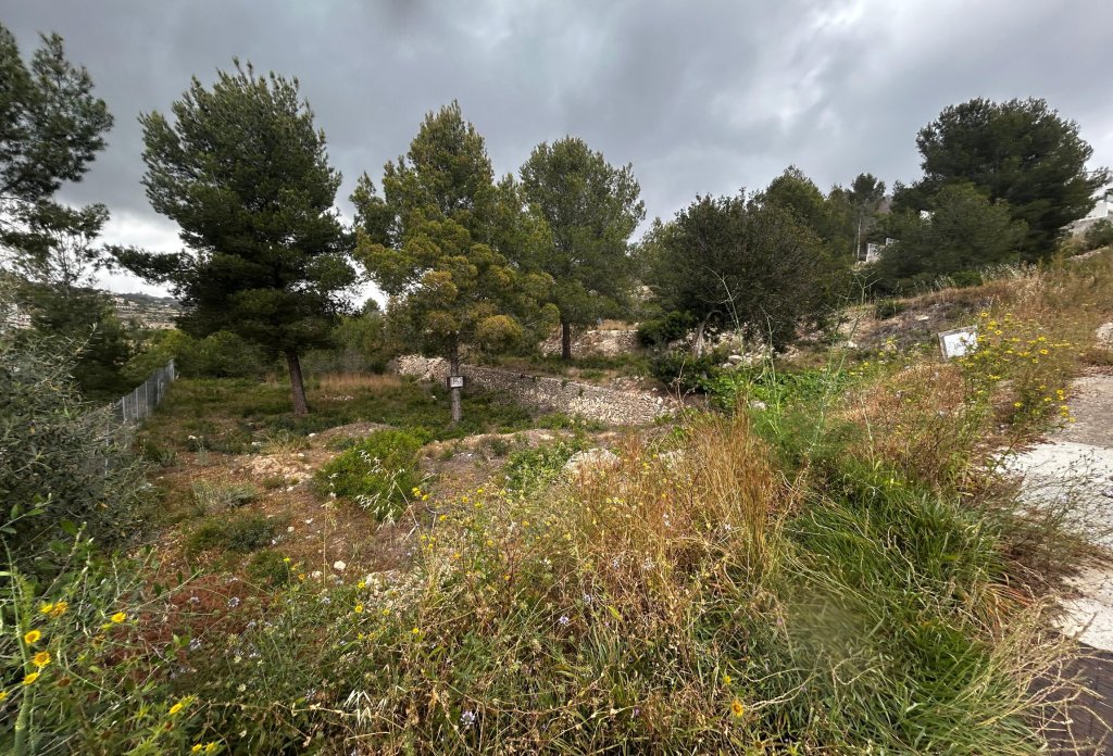 Reventa - Plot - Calpe