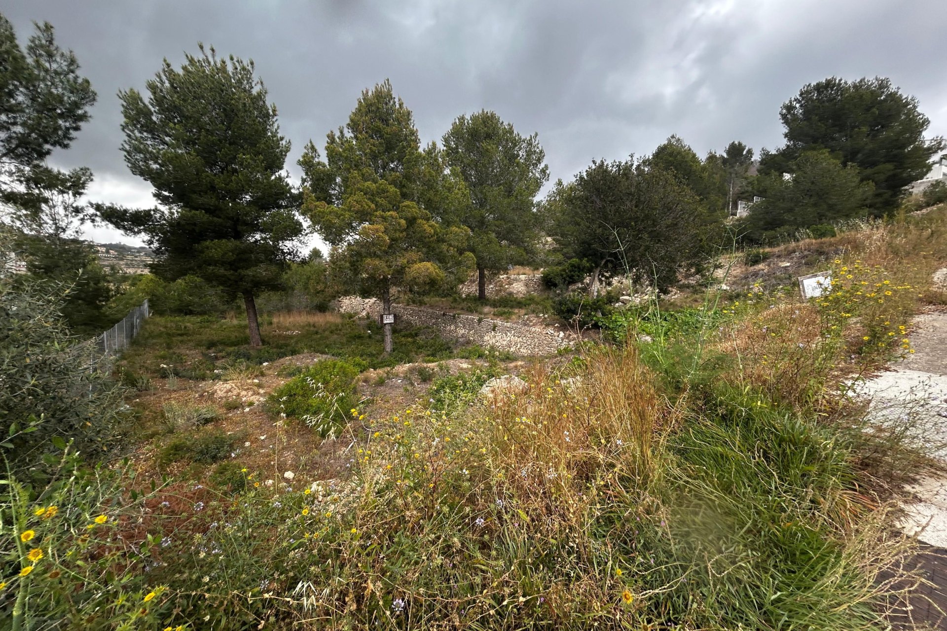 Reventa - Plot - Calpe
