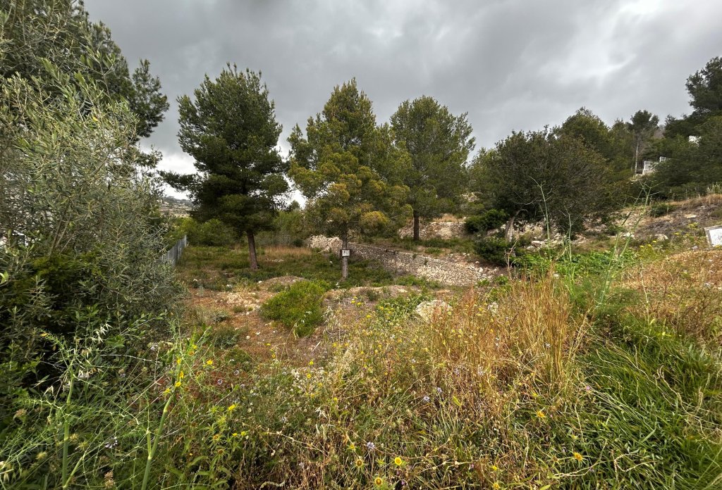 Reventa - Plot - Calpe