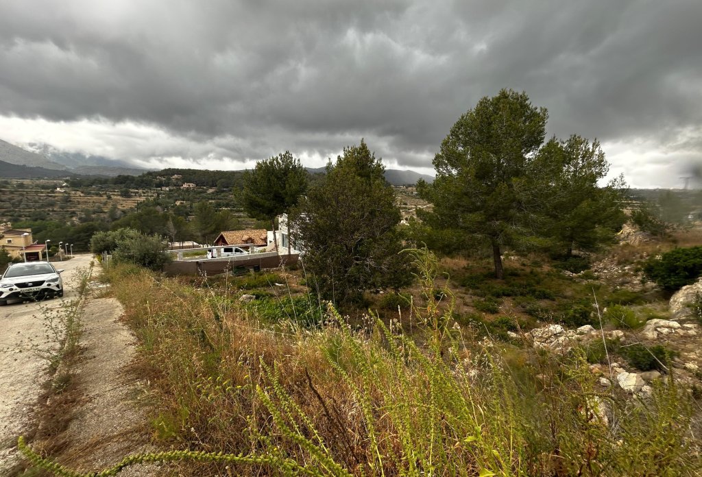 Reventa - Plot - Calpe