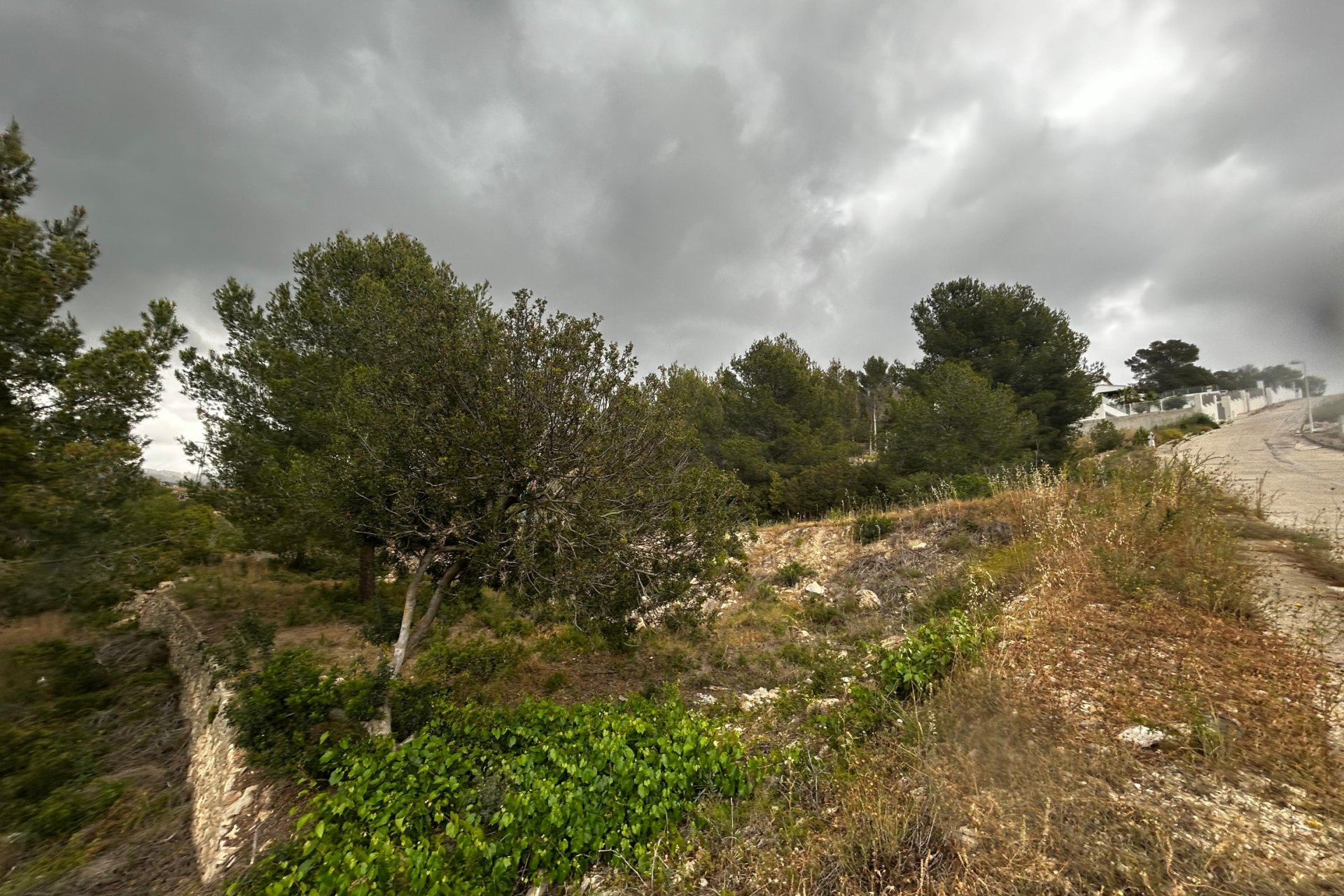 Reventa - Plot - Calpe