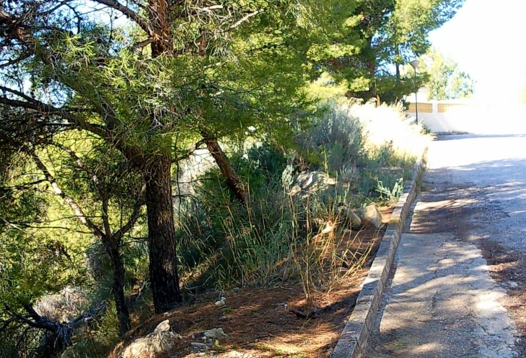 Reventa - Plot - Calpe
