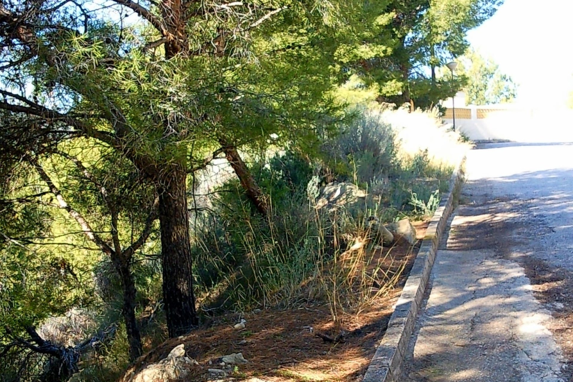 Reventa - Plot - Calpe